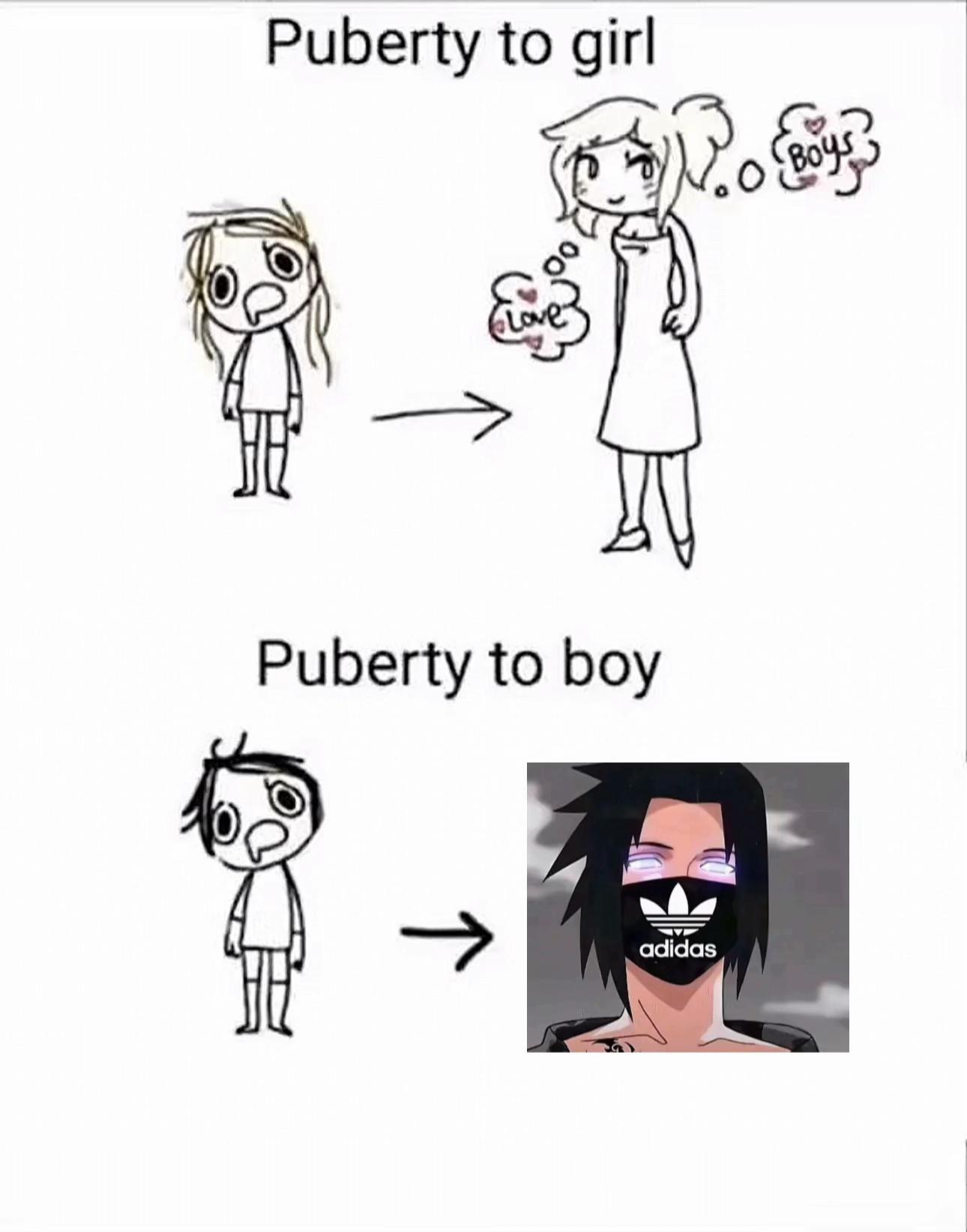 @сеня реферат
