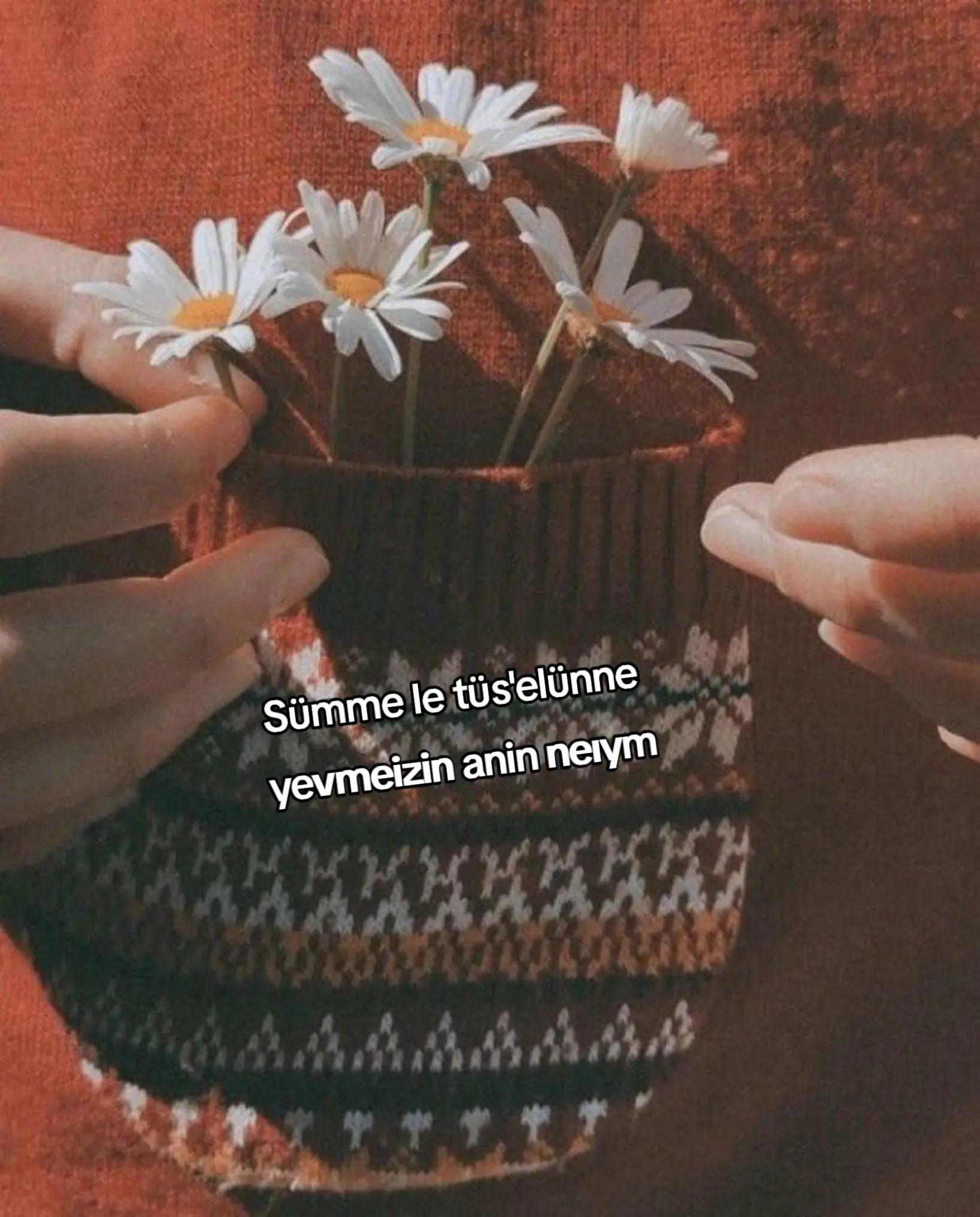 @kyplrdym