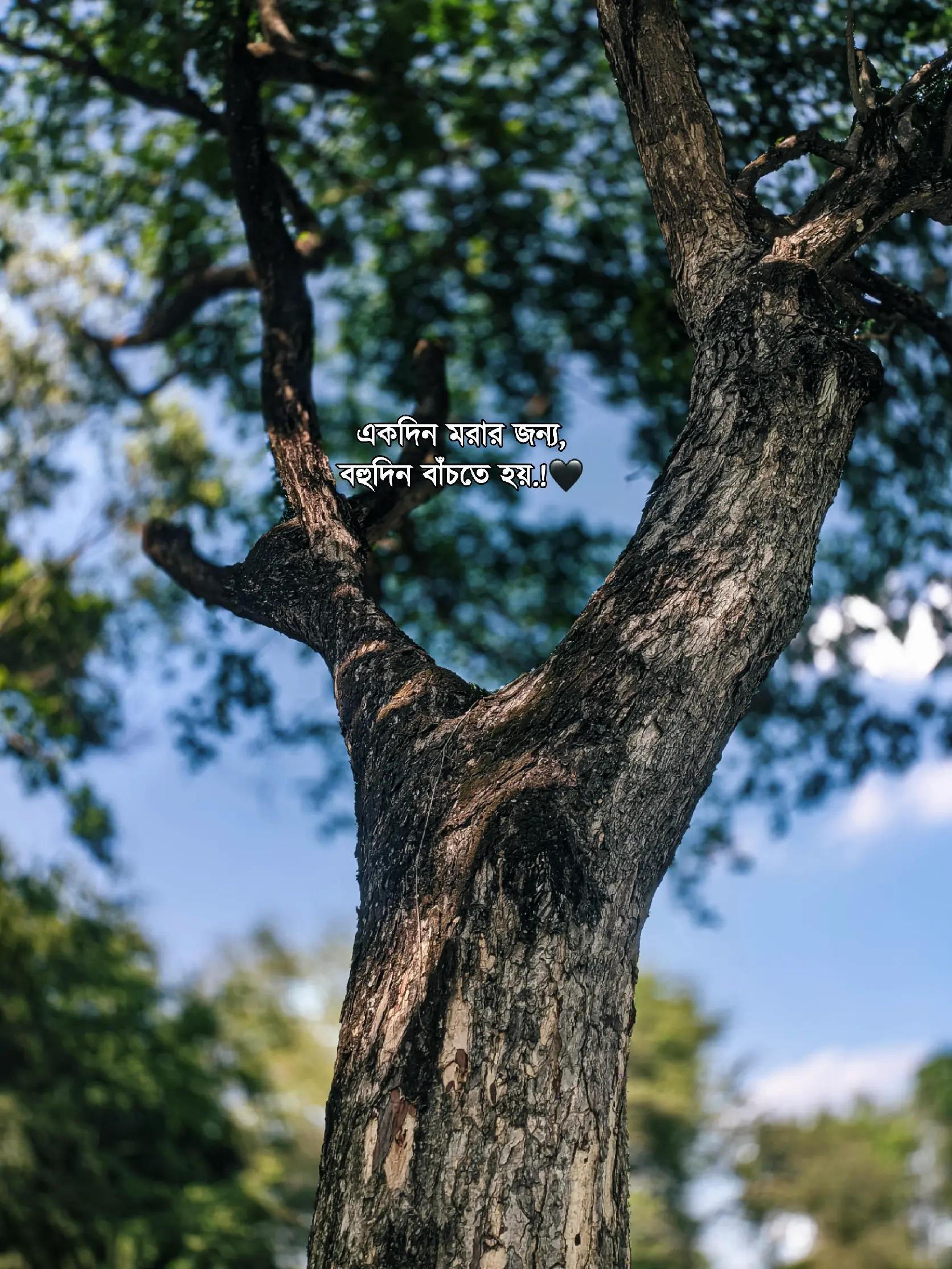 @&mdash;͞ʙᴏsᴏꪀ  !&iexcl;