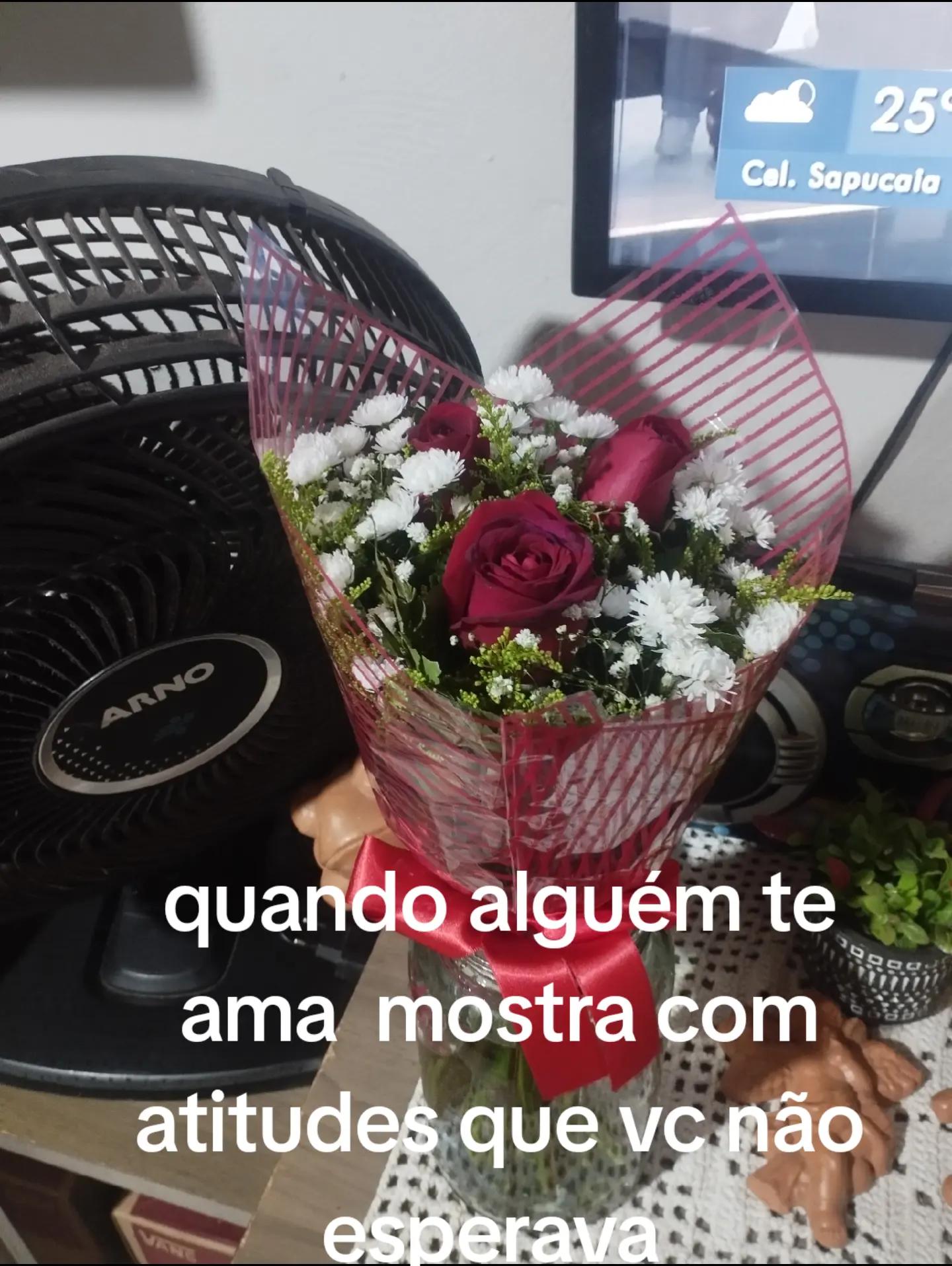 @Ana Paula Onofre