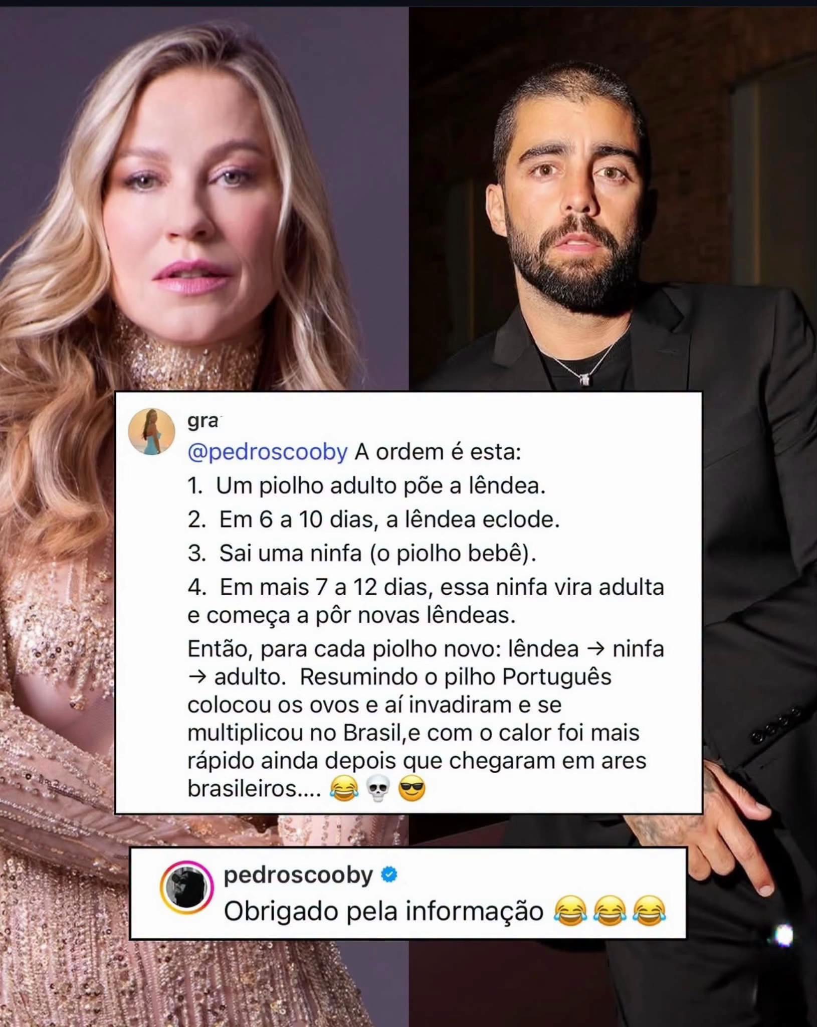 @Renata Figueiredo