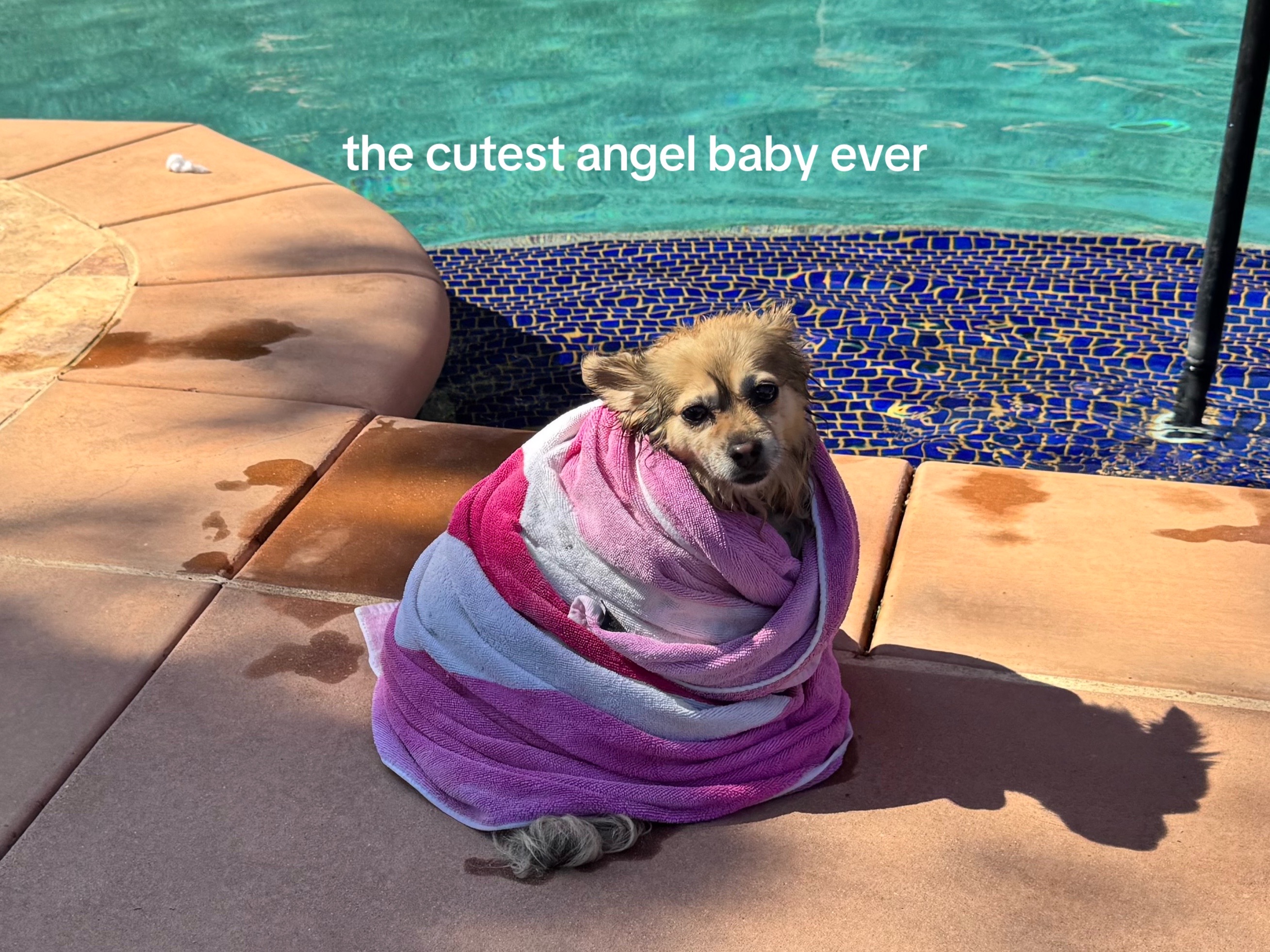 @💌🪽