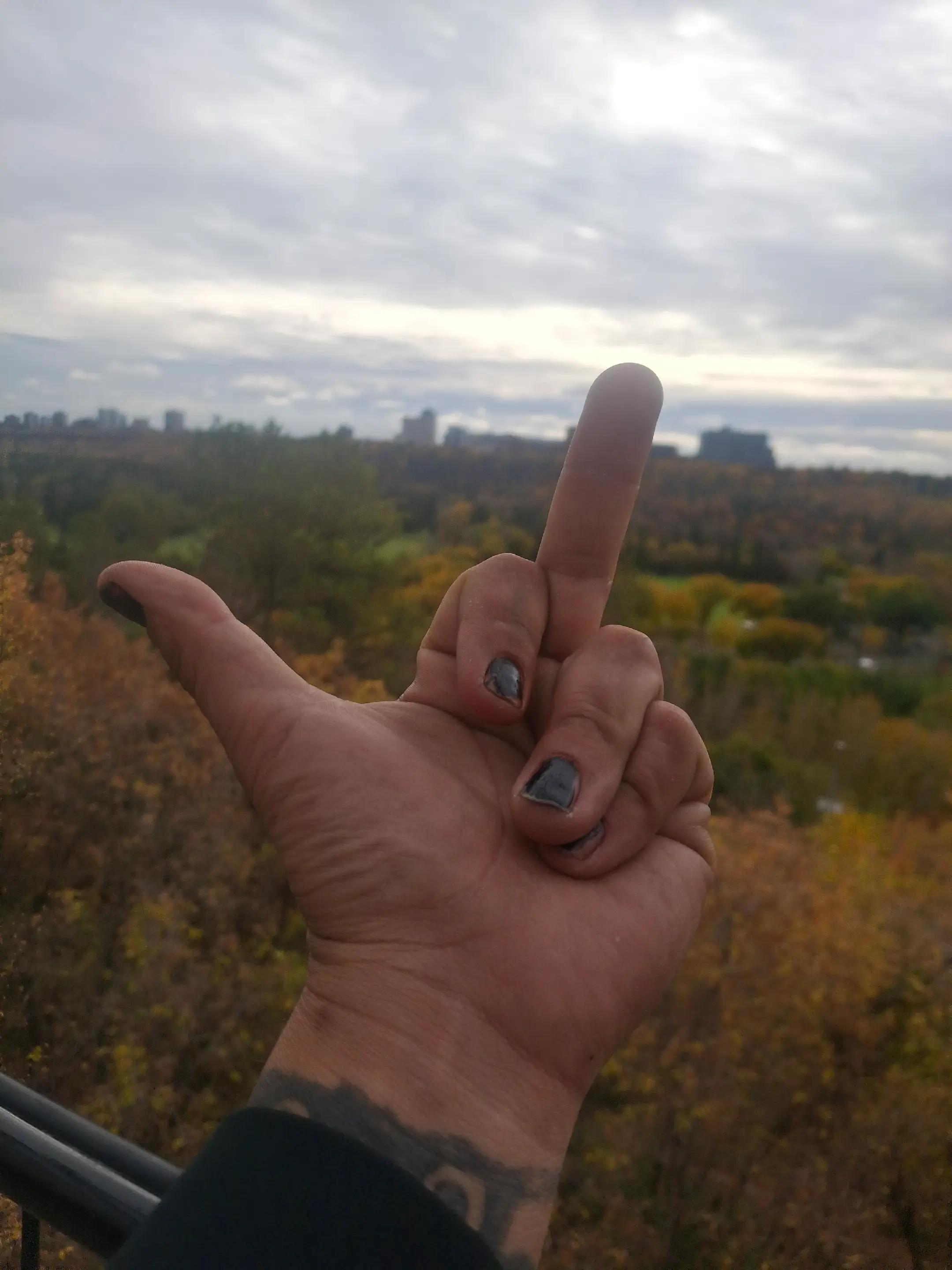 @Rcborg