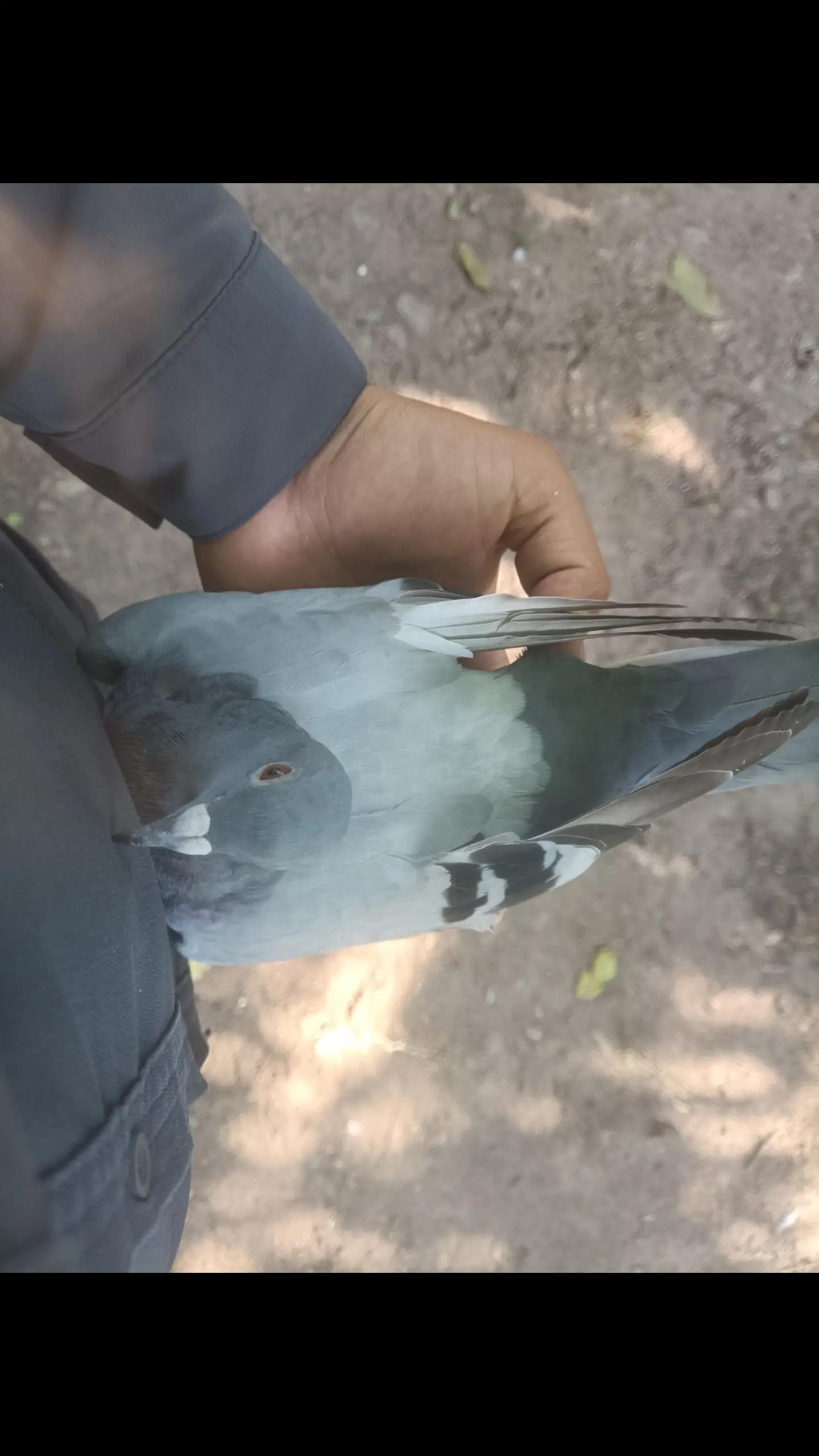 @YARIŞ POSTASI