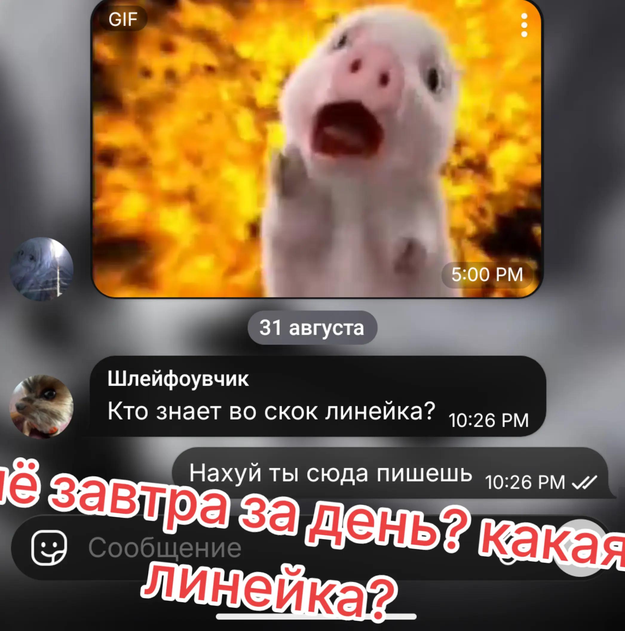 @790rus!
