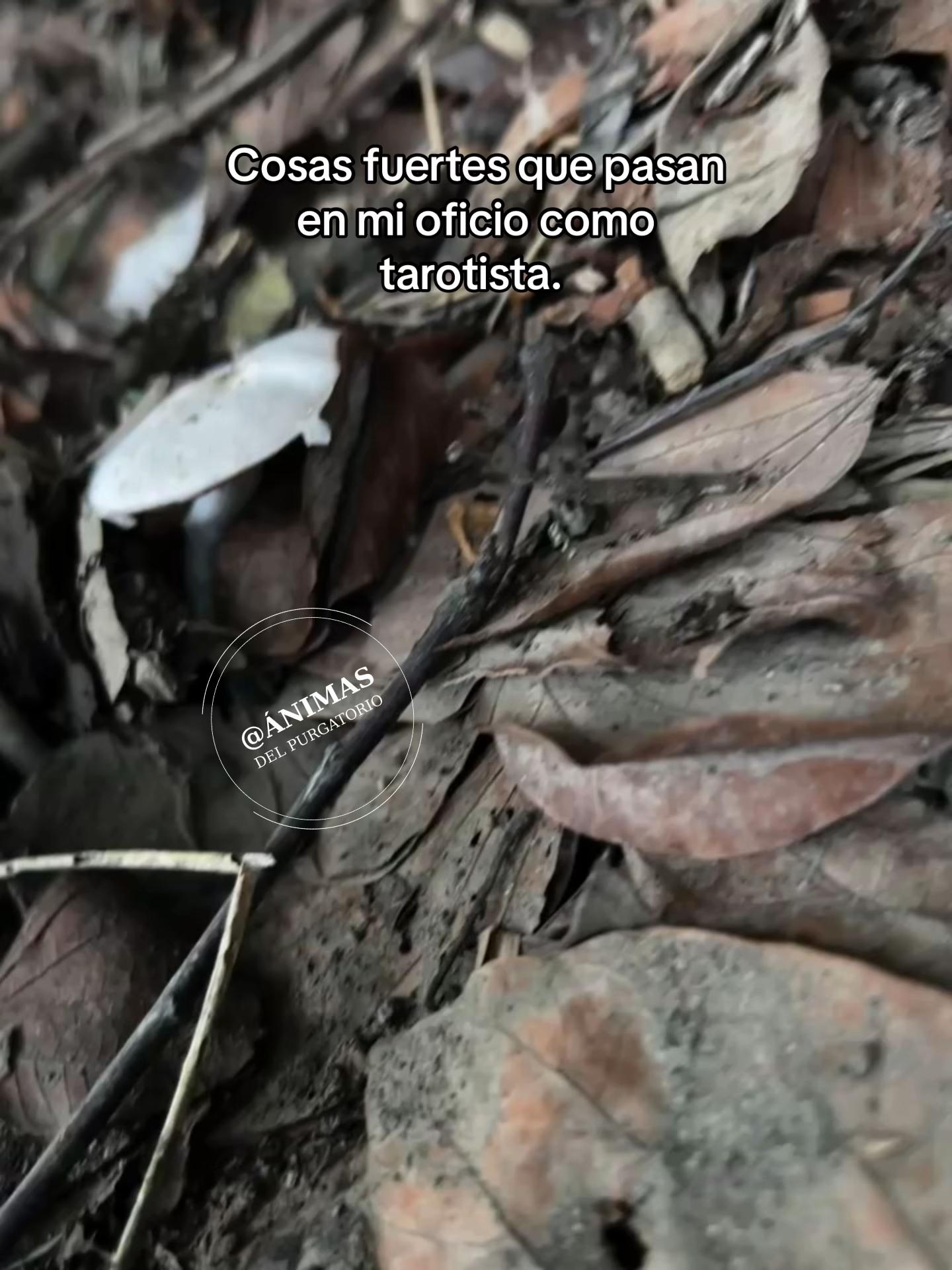 @Sebas_animasdelpurgatorio