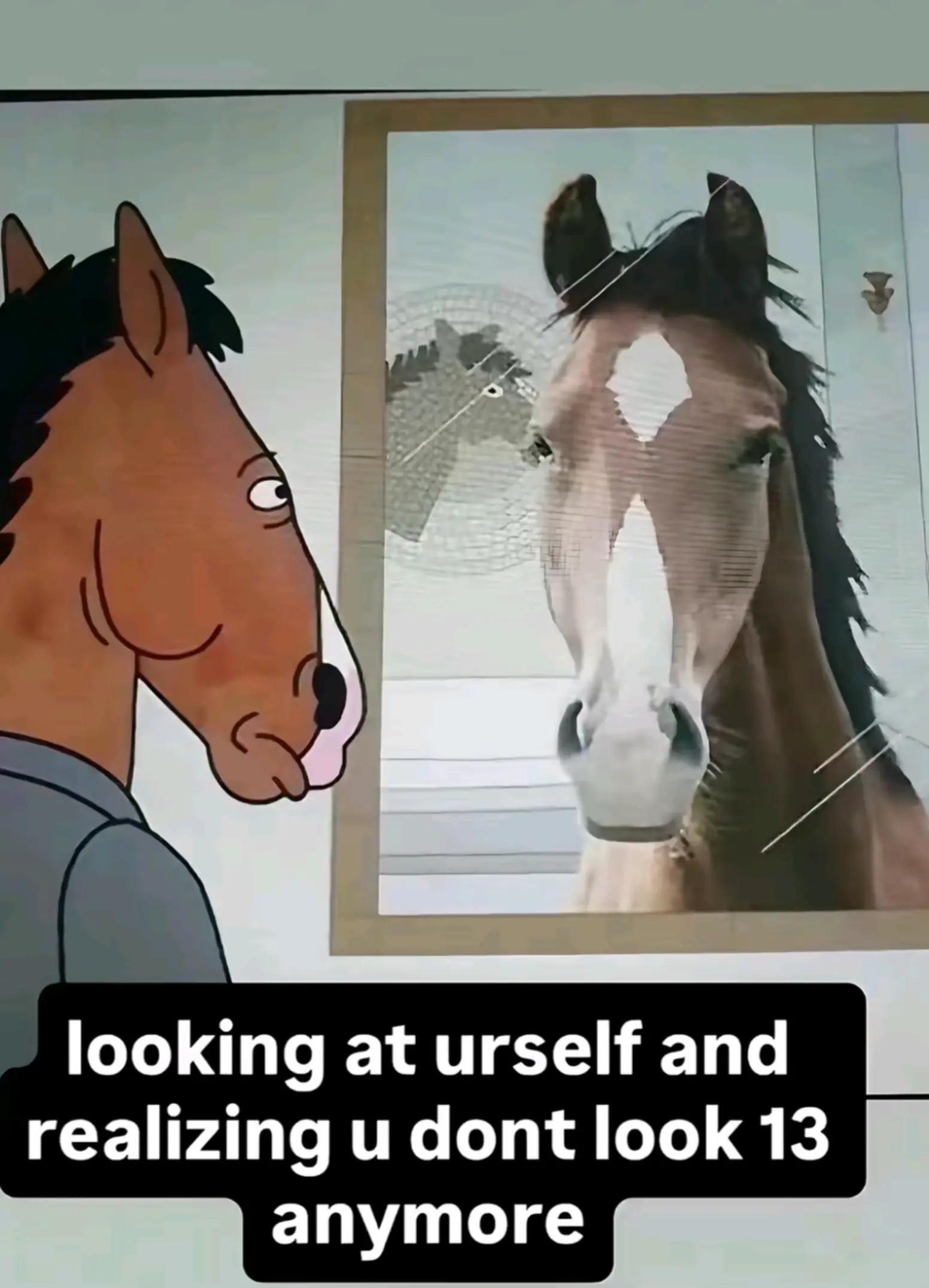 @seidie🪷