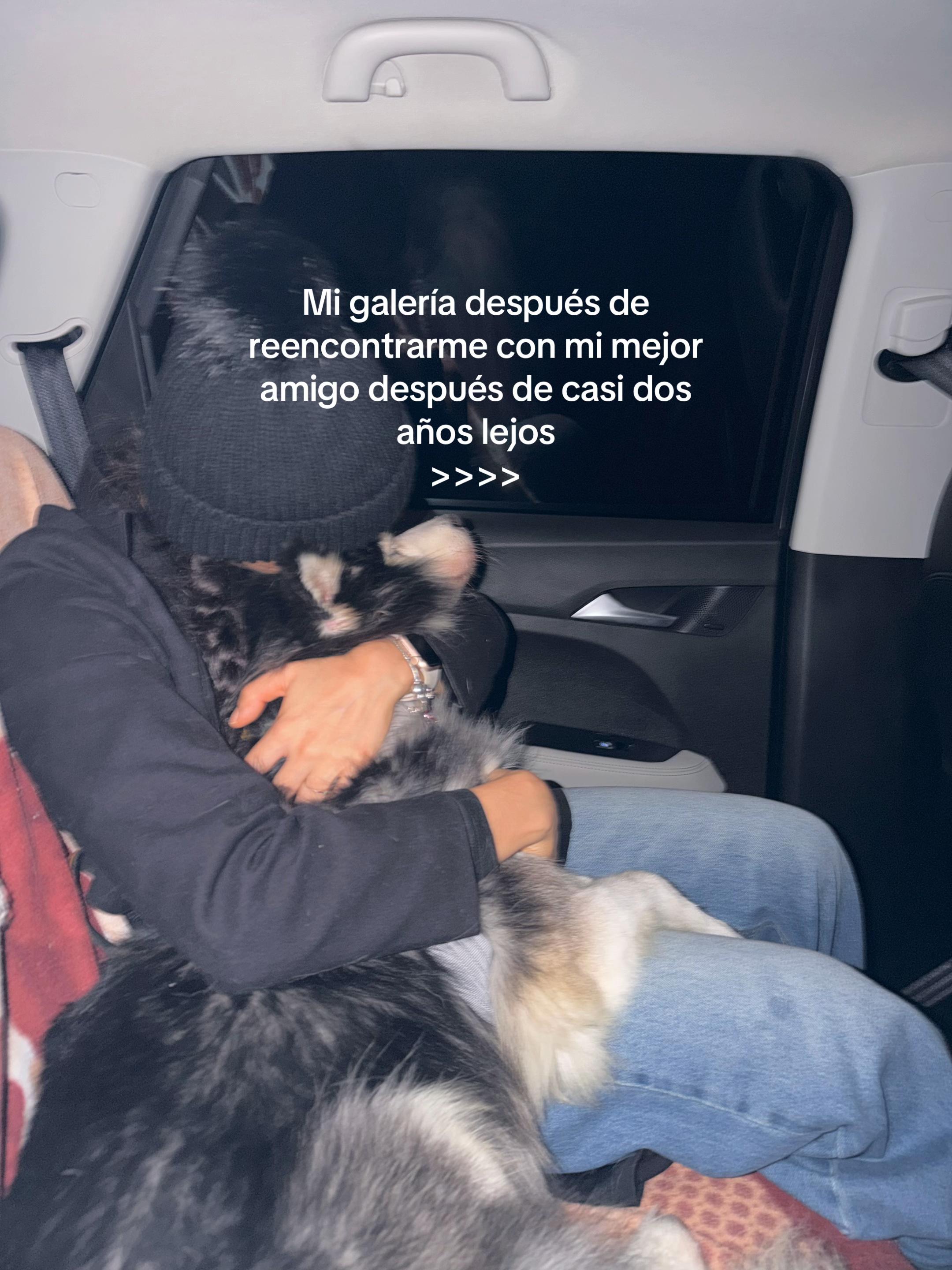 @sisoysofff