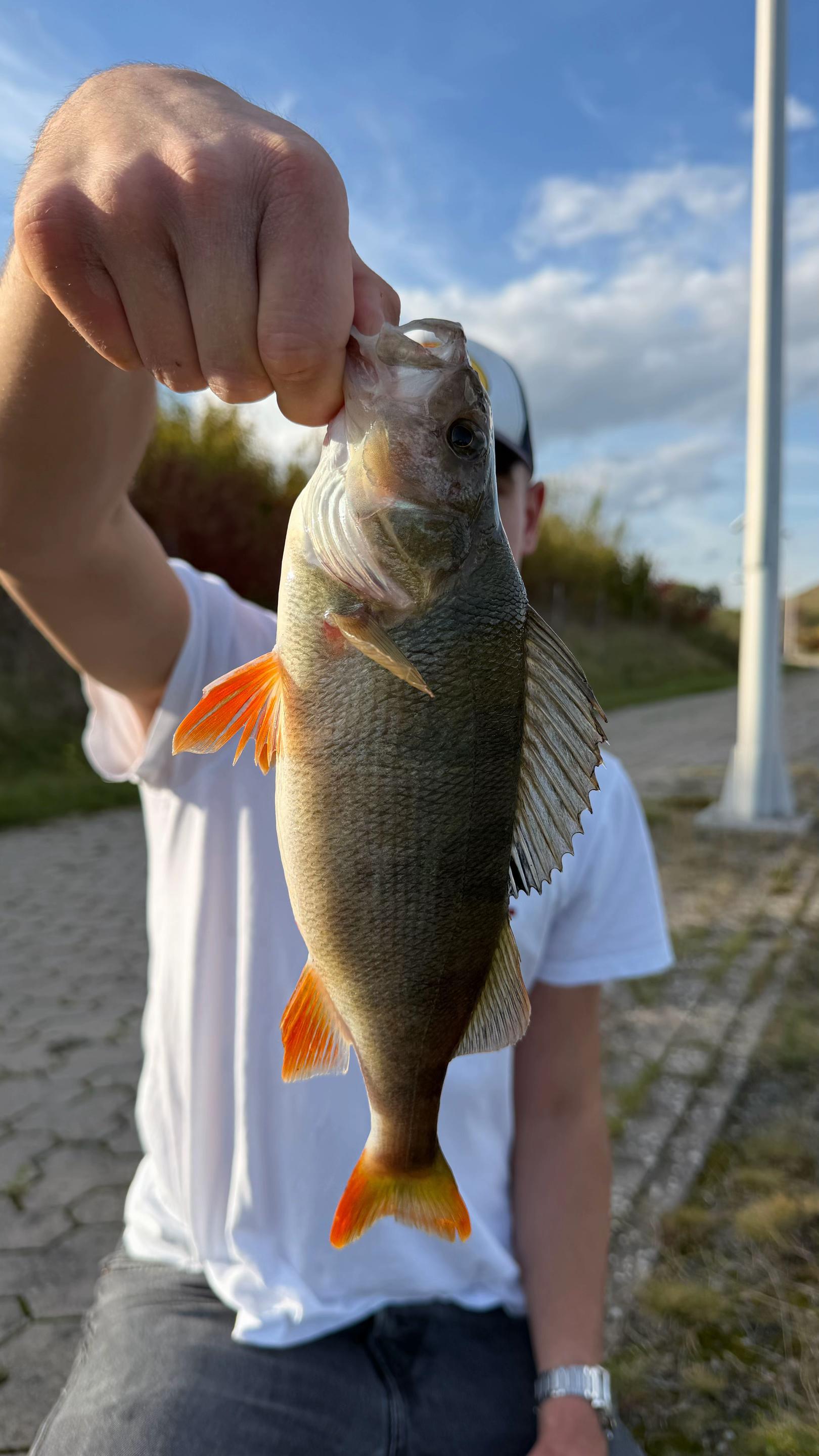 @Castandcatch