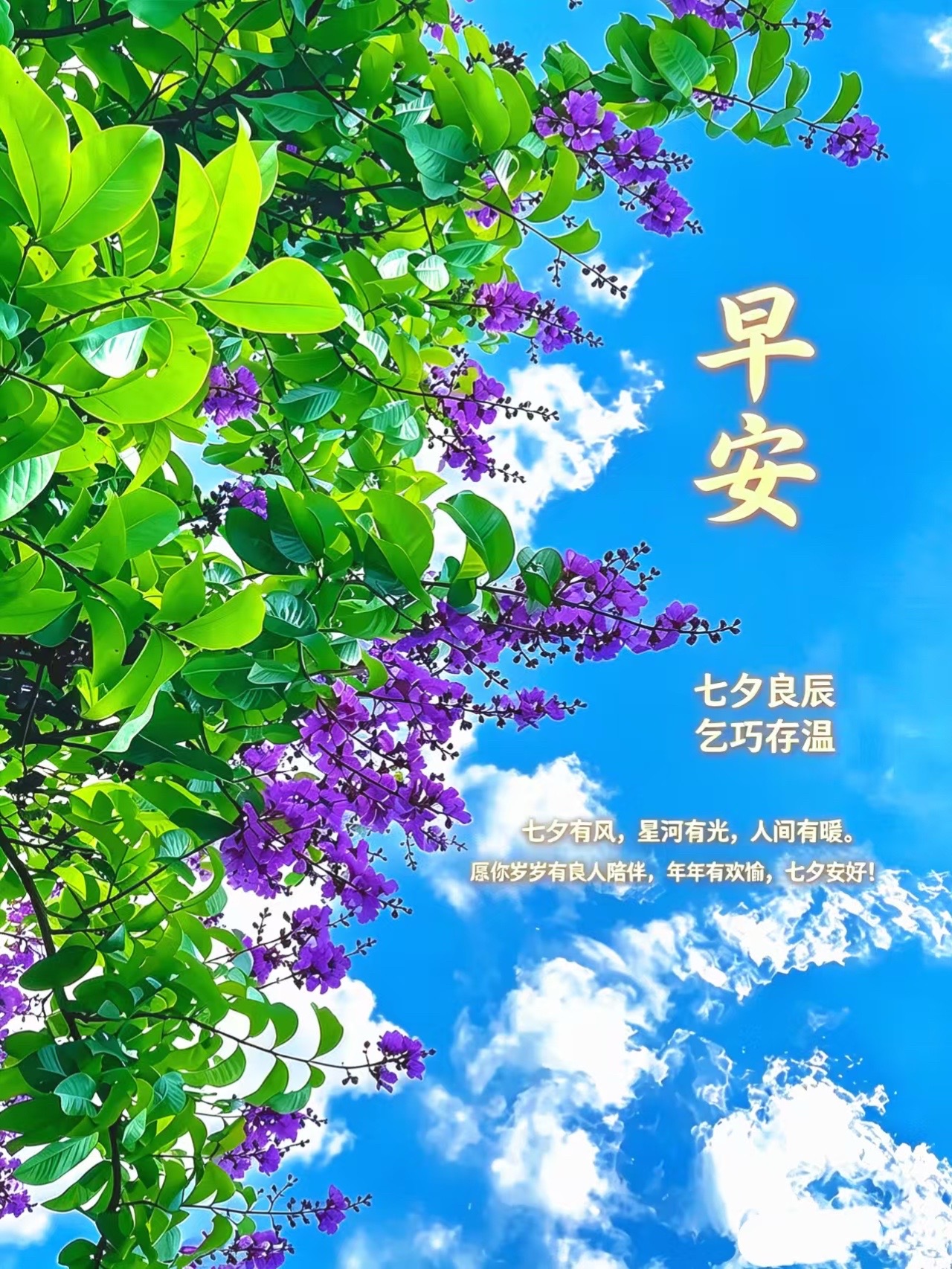 @缥缈客（老武）