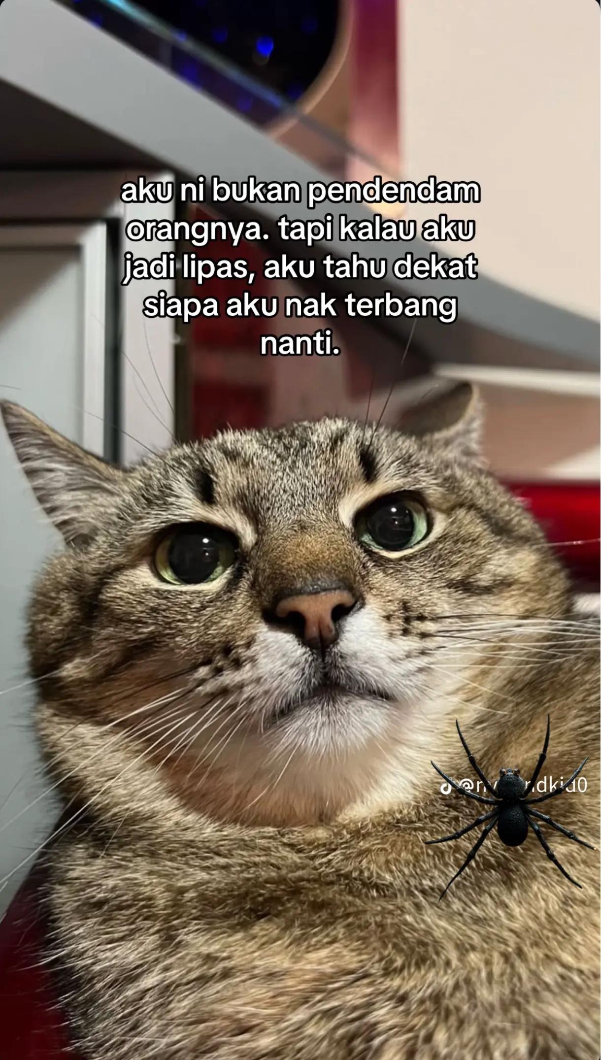@Shida