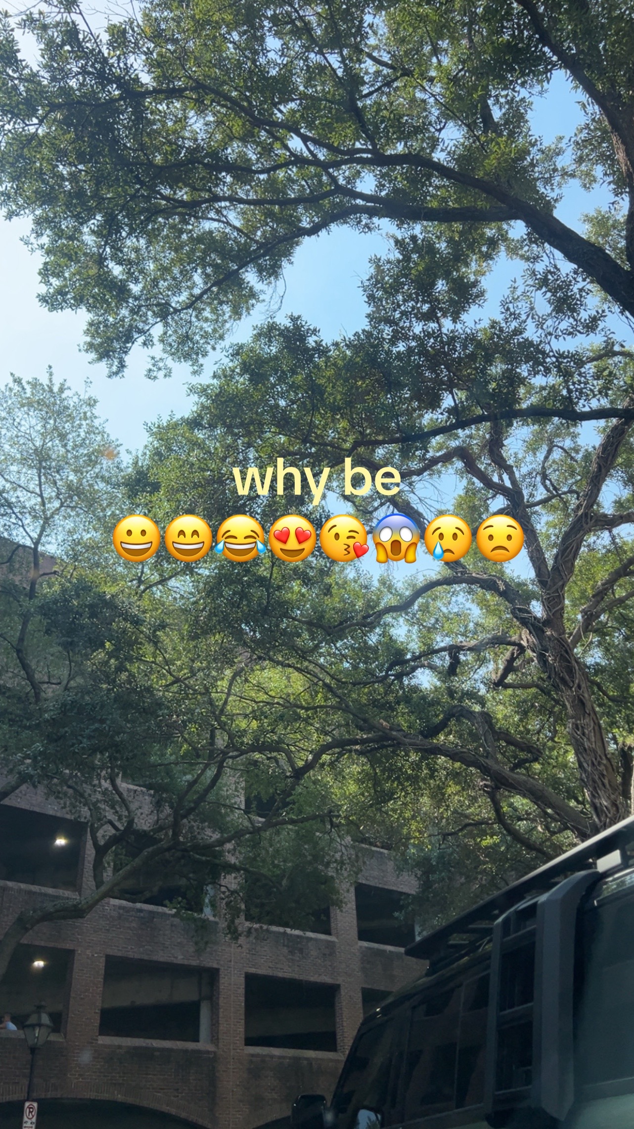 @em 🍁