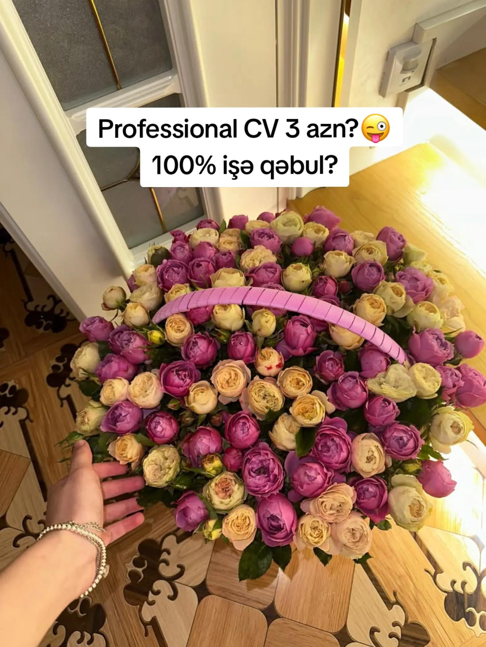 @Professional CV ✨️