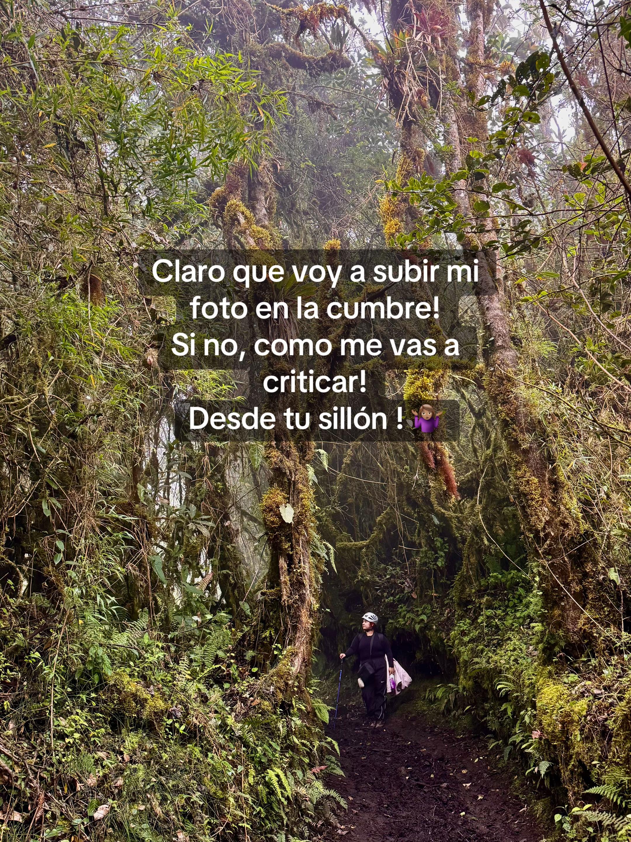 @Roselen