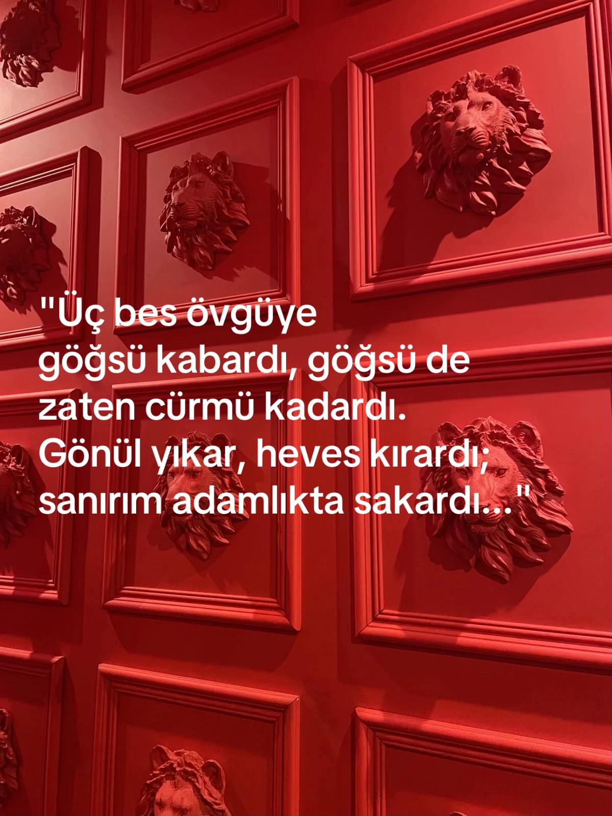 @İcaz 🪶