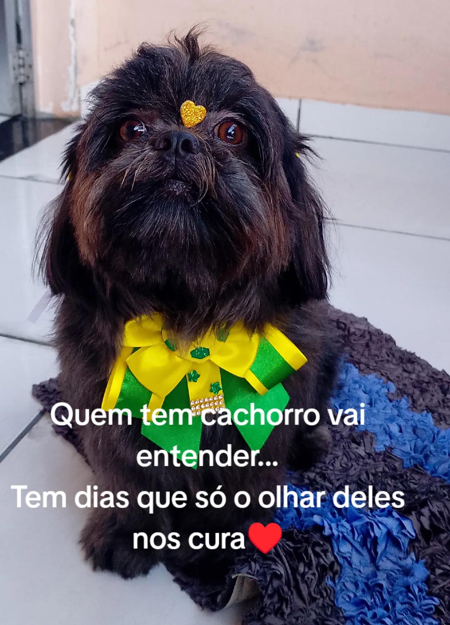 @Renilda Soares