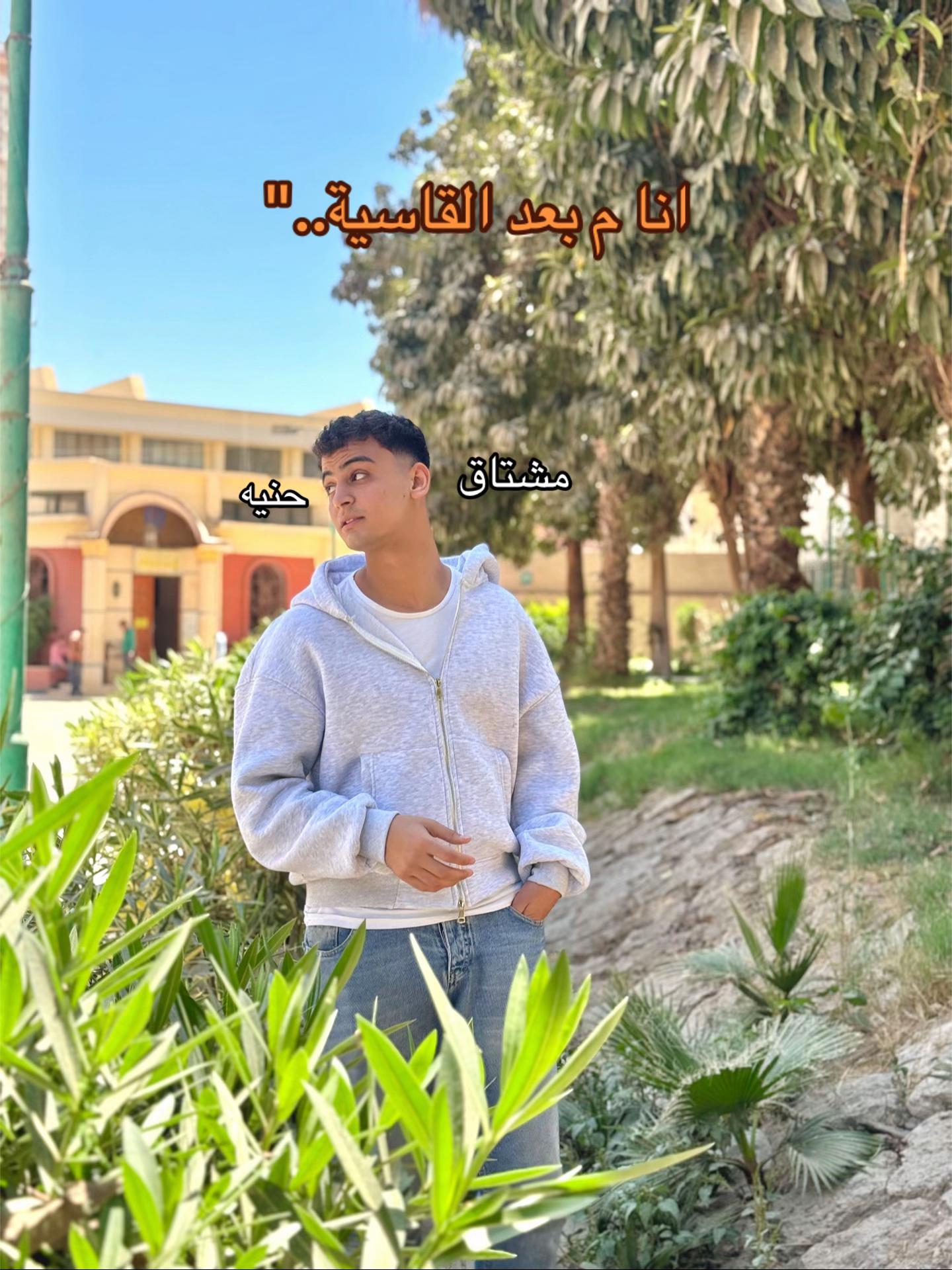 @Al Nest
