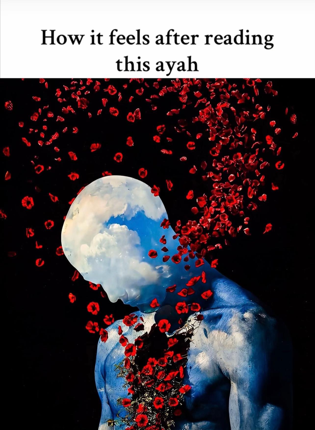 @englishtranslatedquran