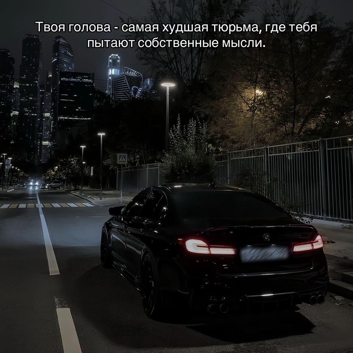 @777_koshka_777_