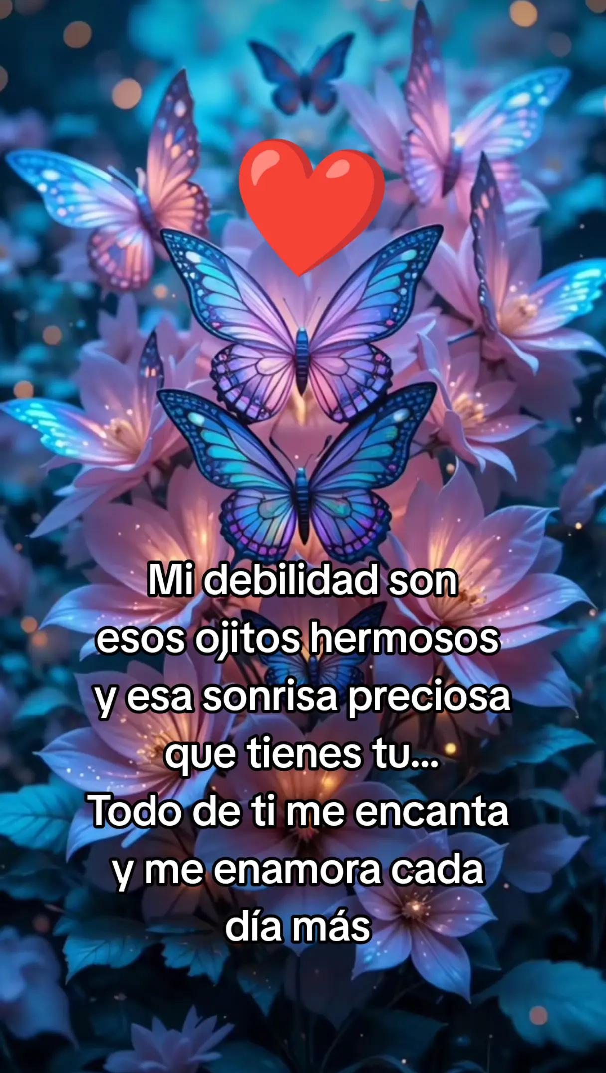 @Rafael V.J.(Lobito)