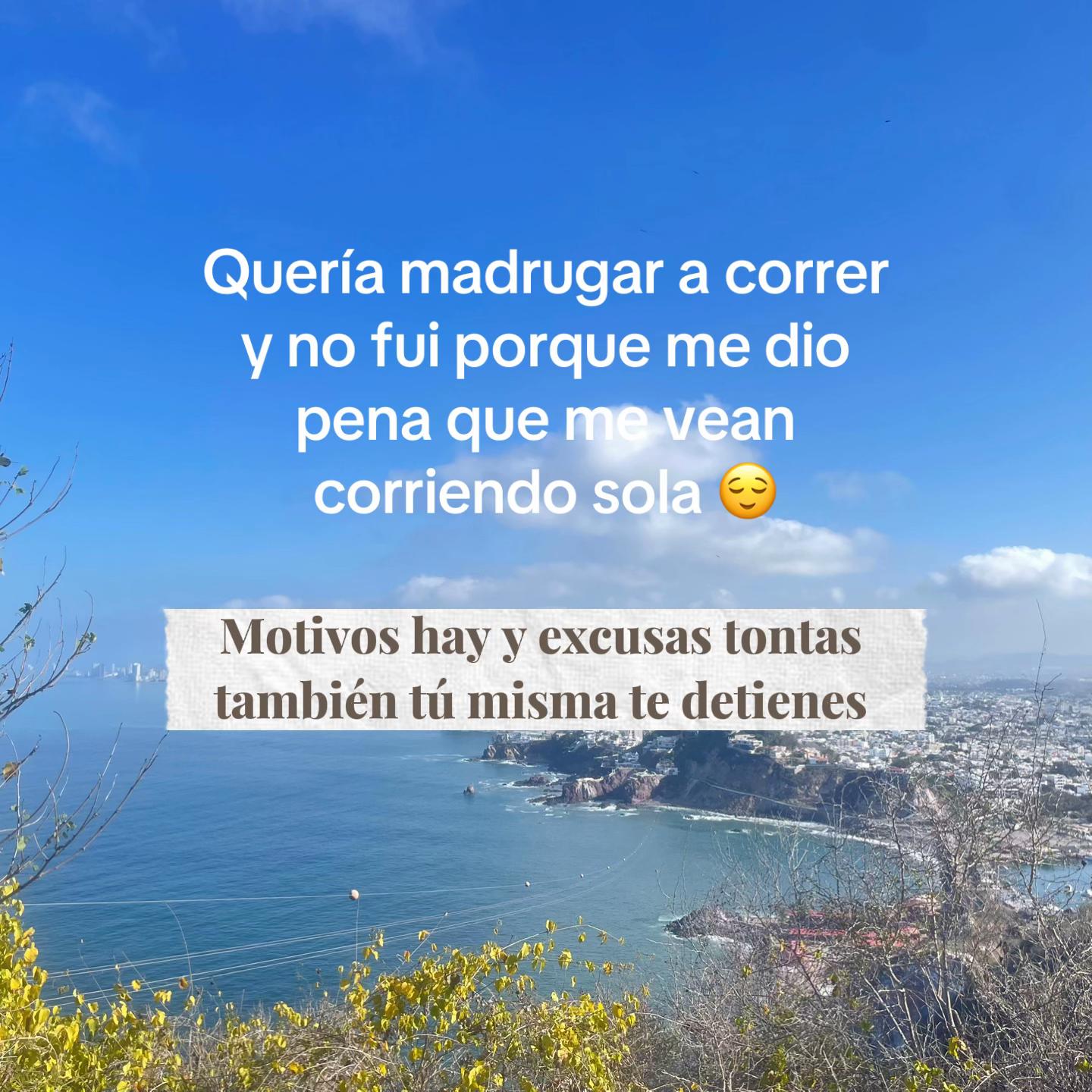 @LT_or🍃