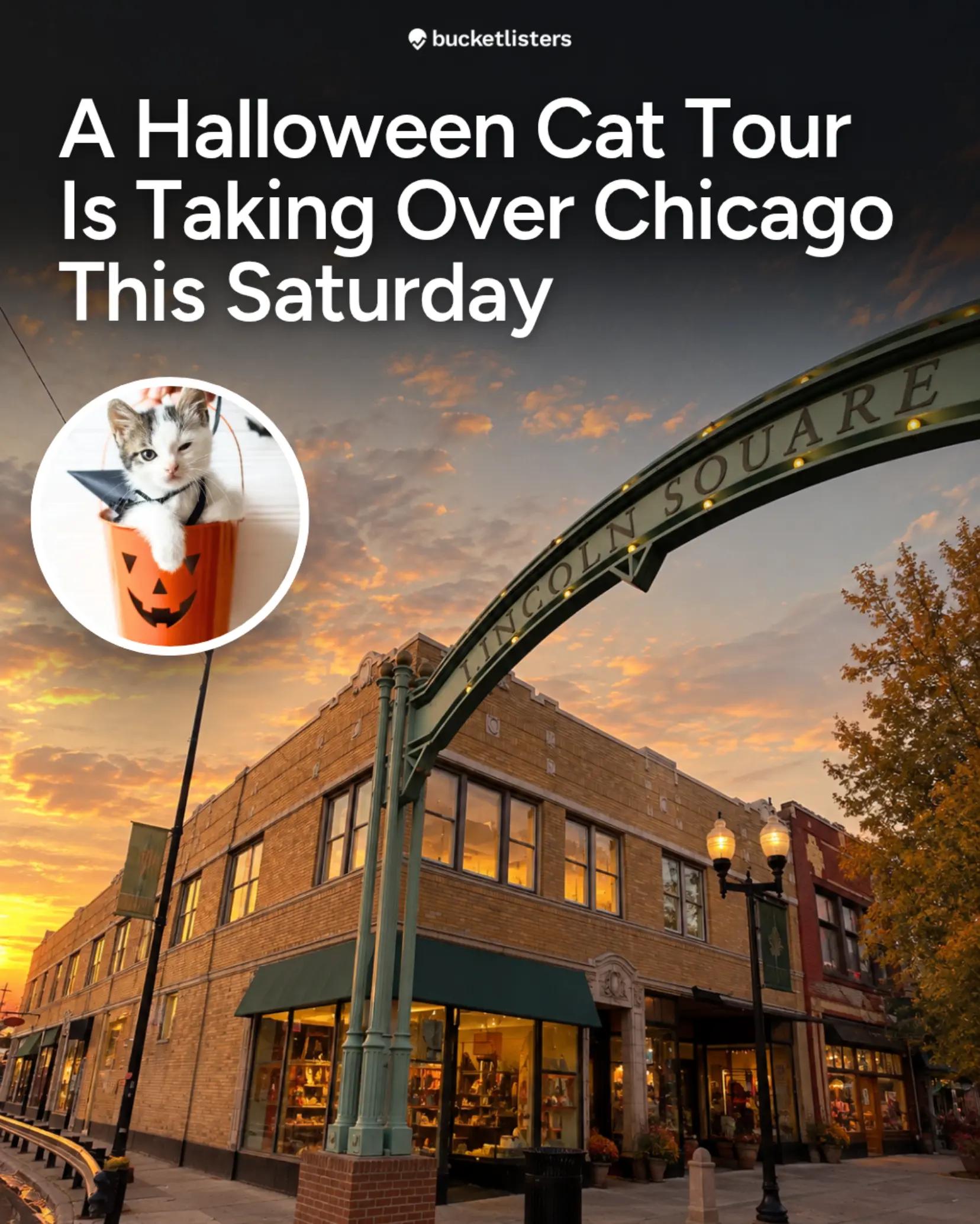 @Chicago Bucket List