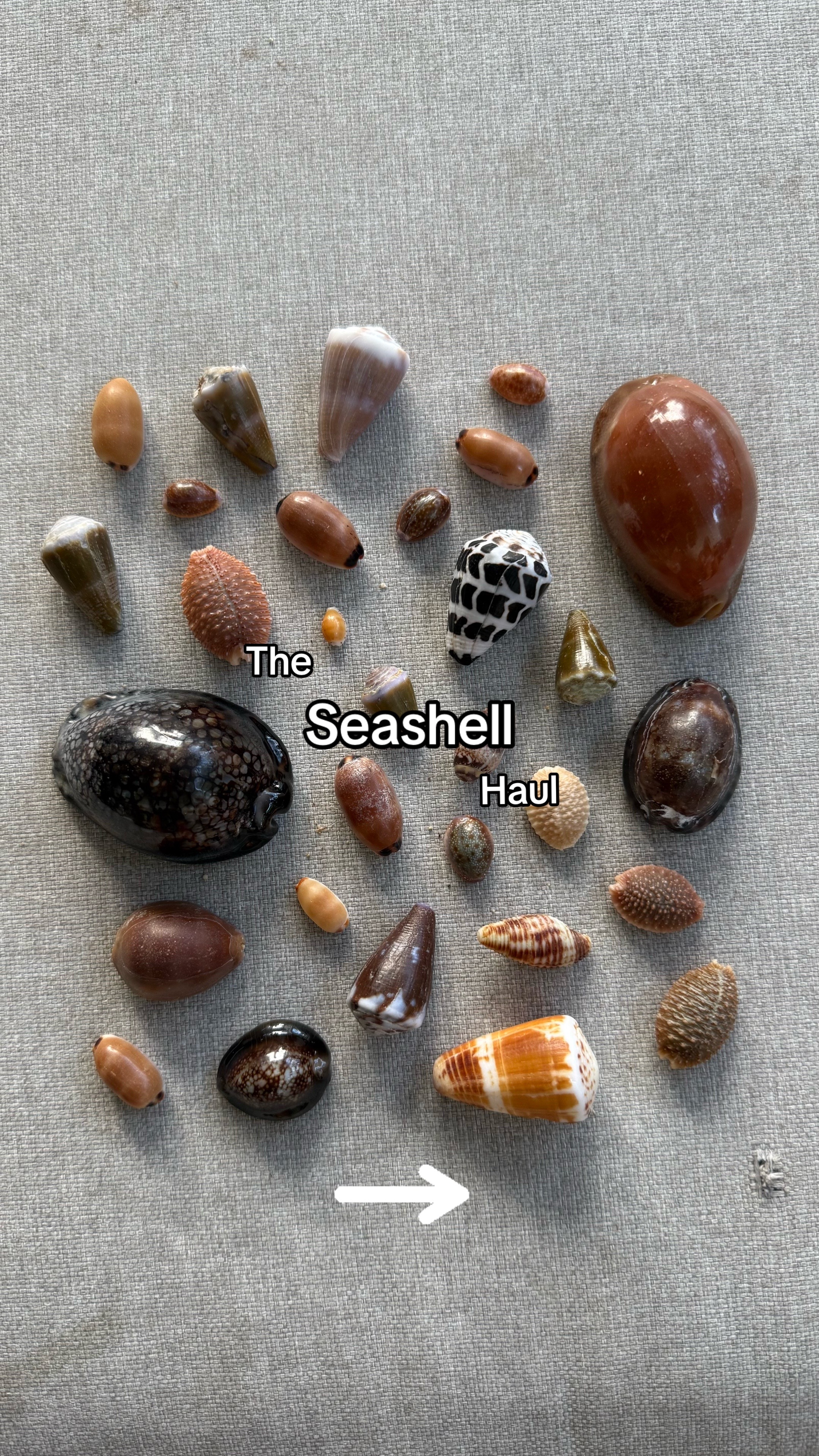 @hishellguy