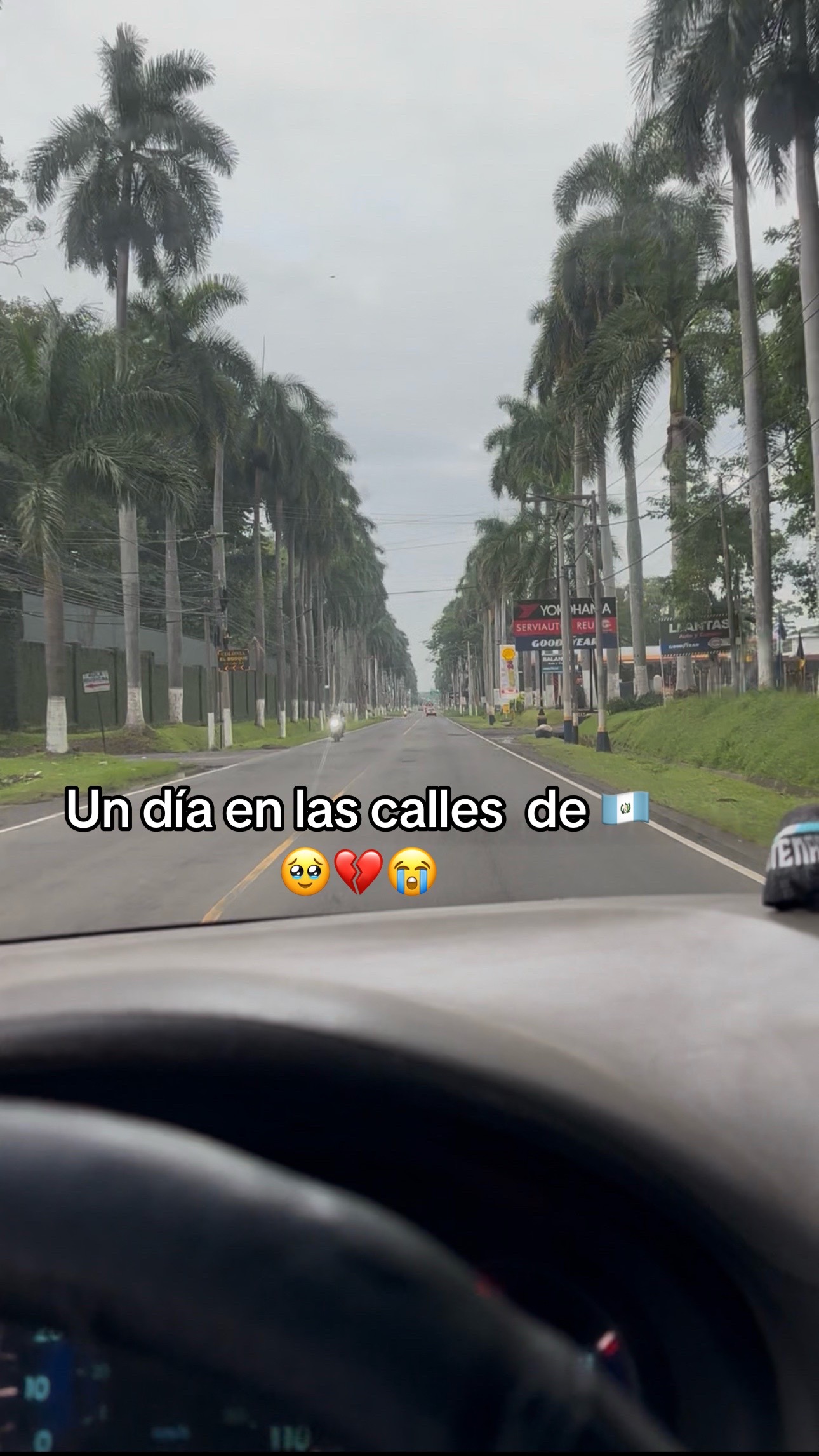 @ARMANDITO ARMI🇬🇹🇱🇷🤑😍🤪🏆