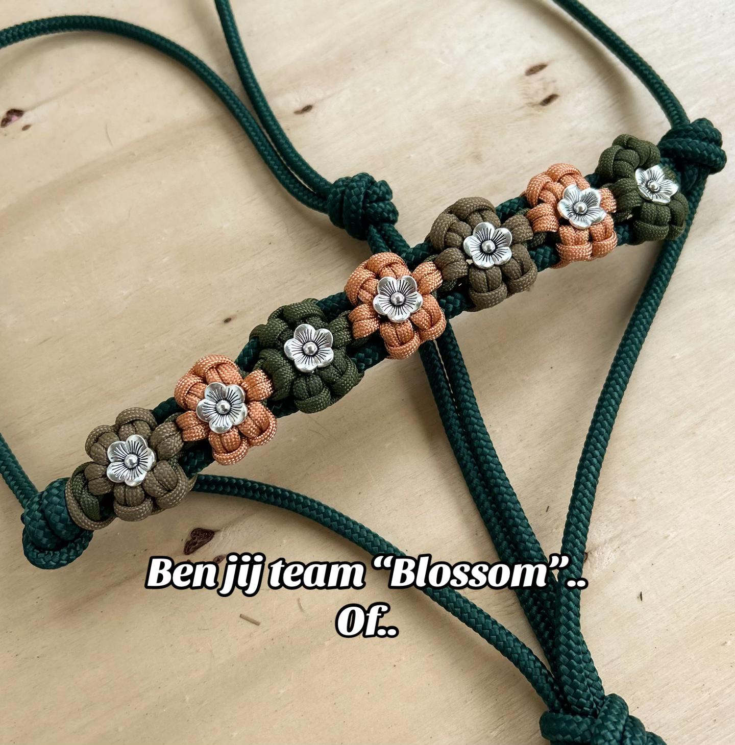 @horsecharms.com