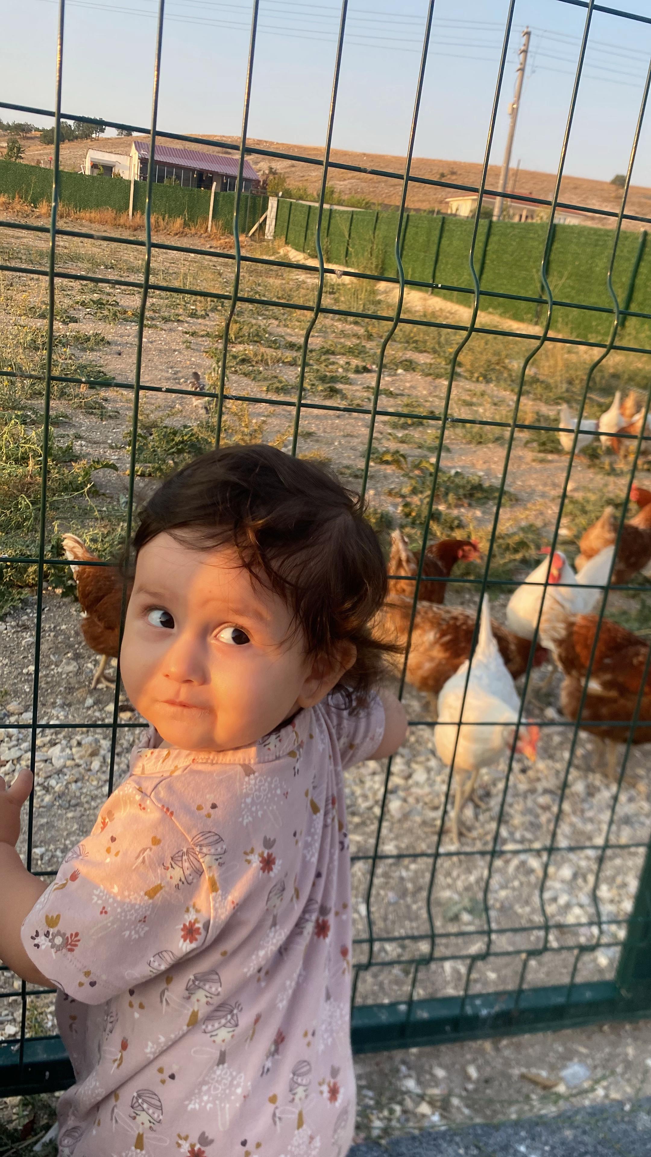 @efe &ouml;zcan