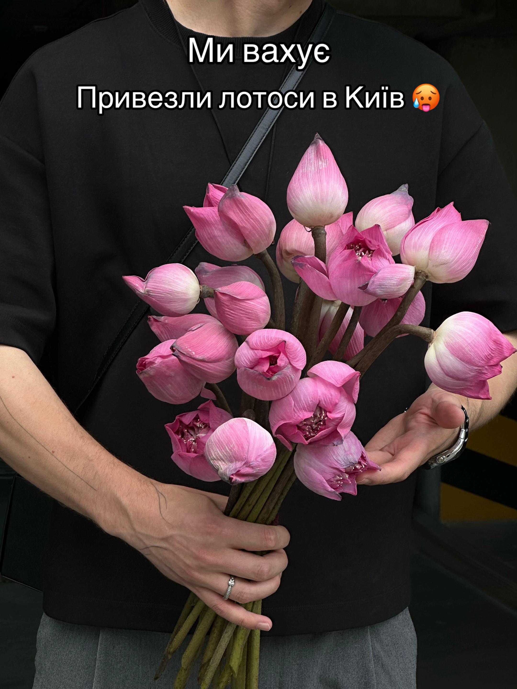 @gardenist.concept