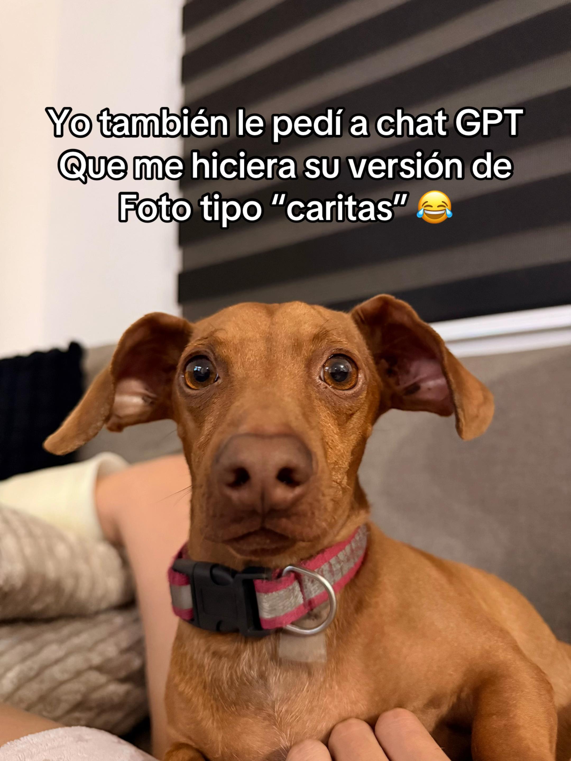 @Mabel Maraboto