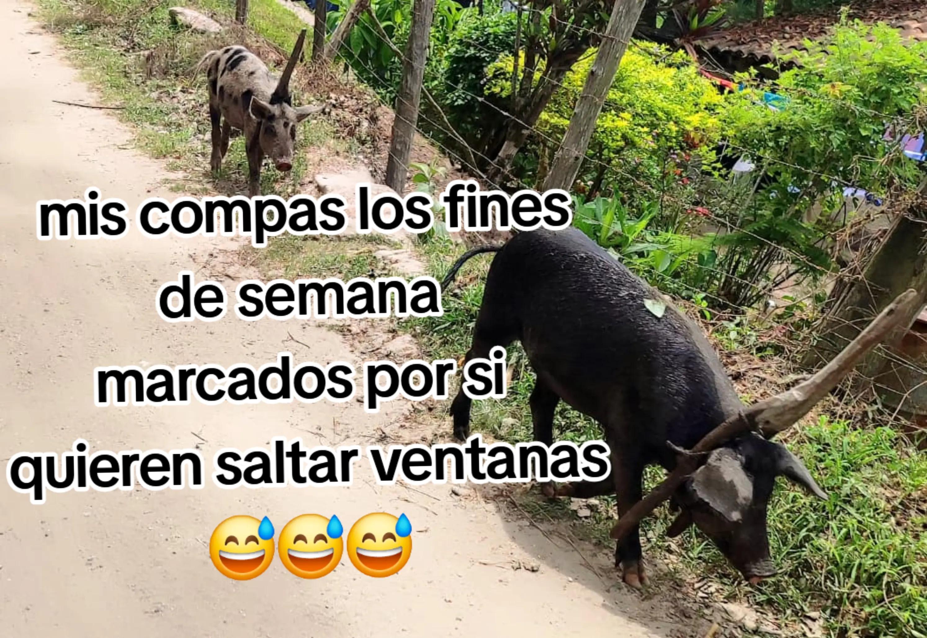 @๐๐ช Díaz ๐ญ๐ณโฝ