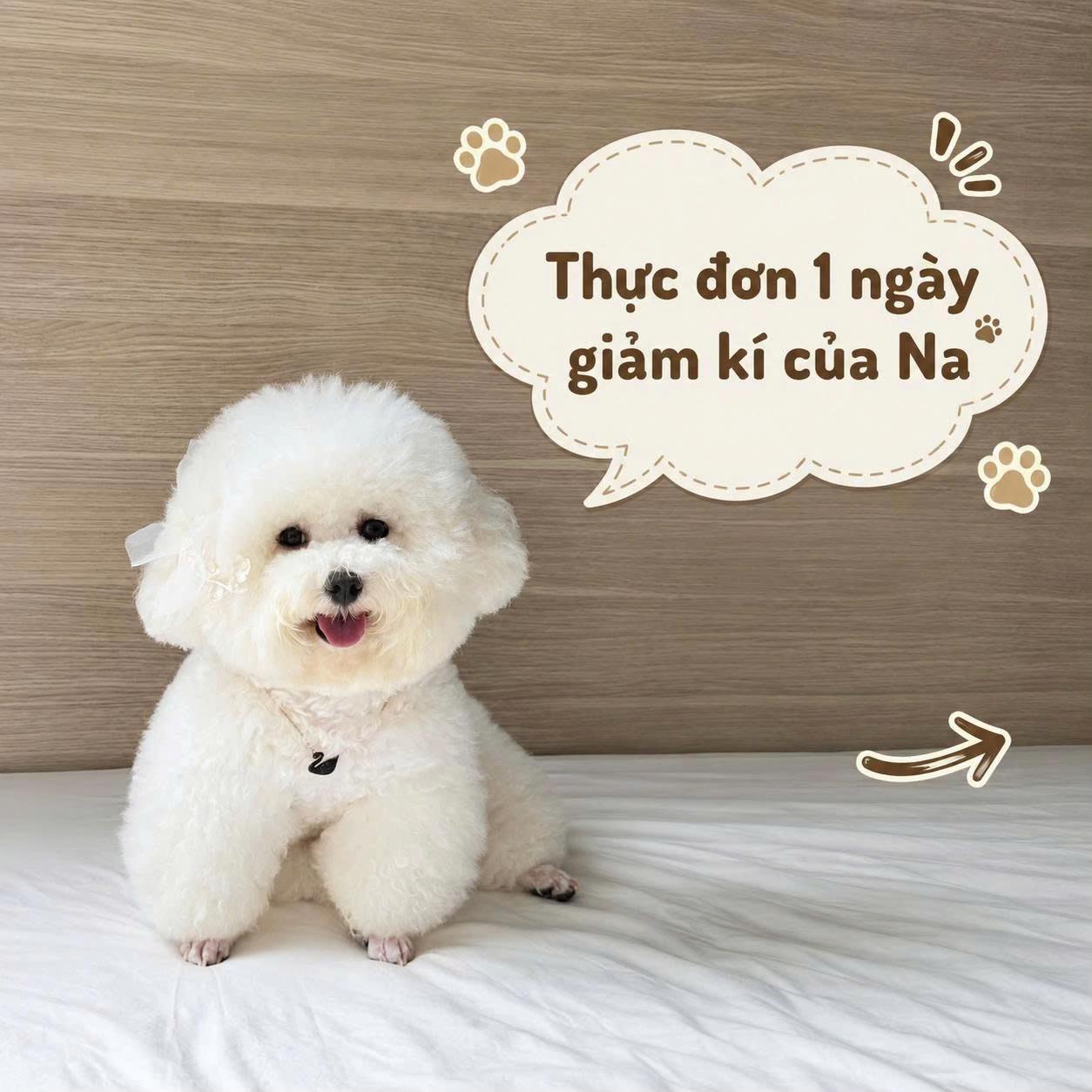 @Gia Đình AvocaBo