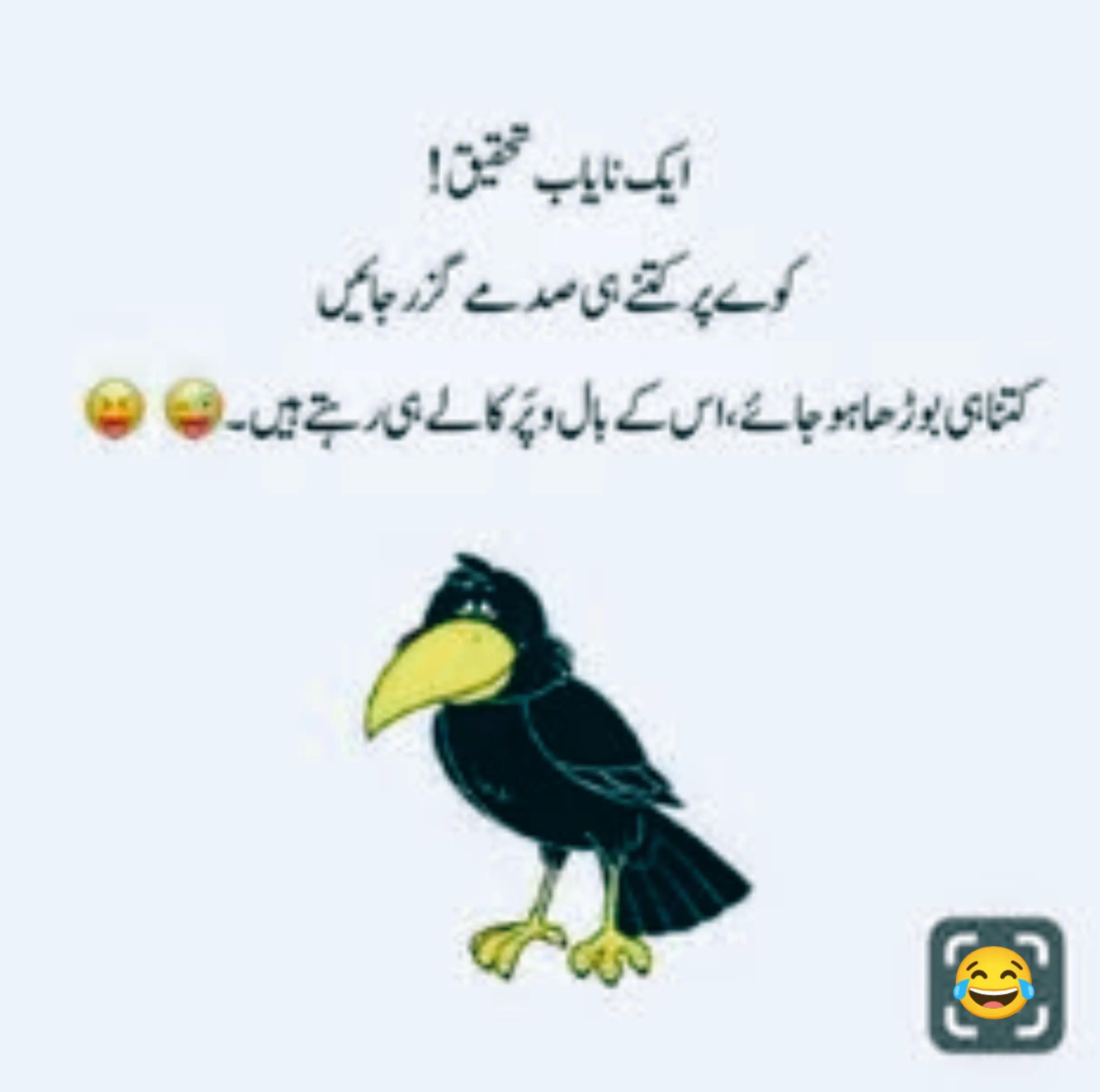 @نعeeم اسLم