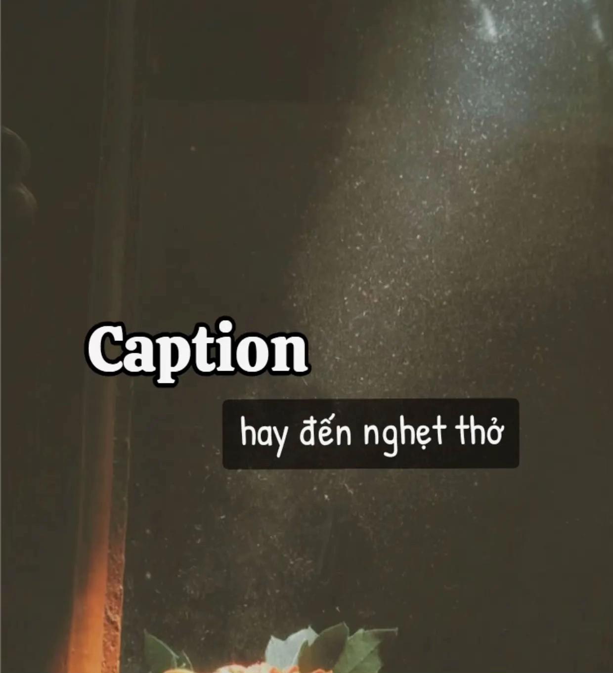 @Hạ Vy