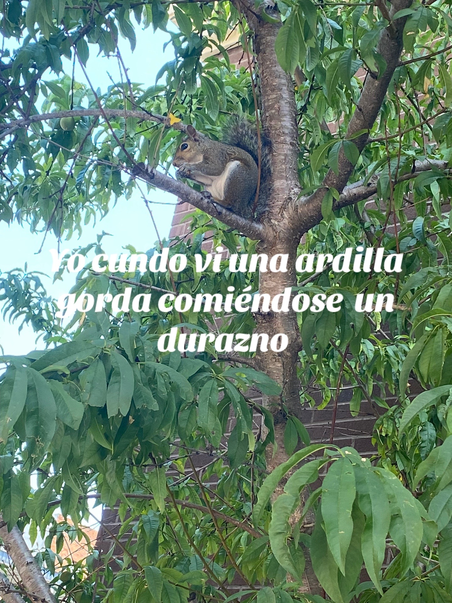 @Carito☺️