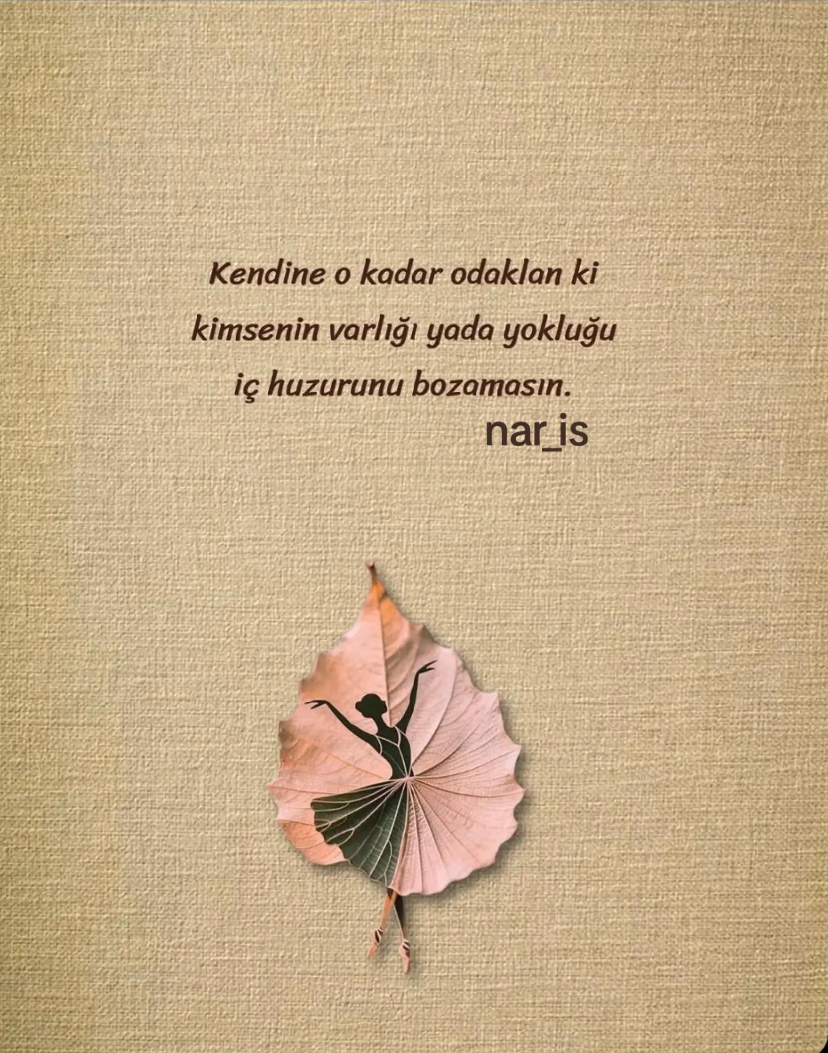 @Nar_Is♈