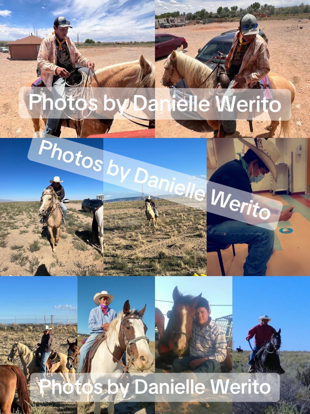 @Danielle Werito