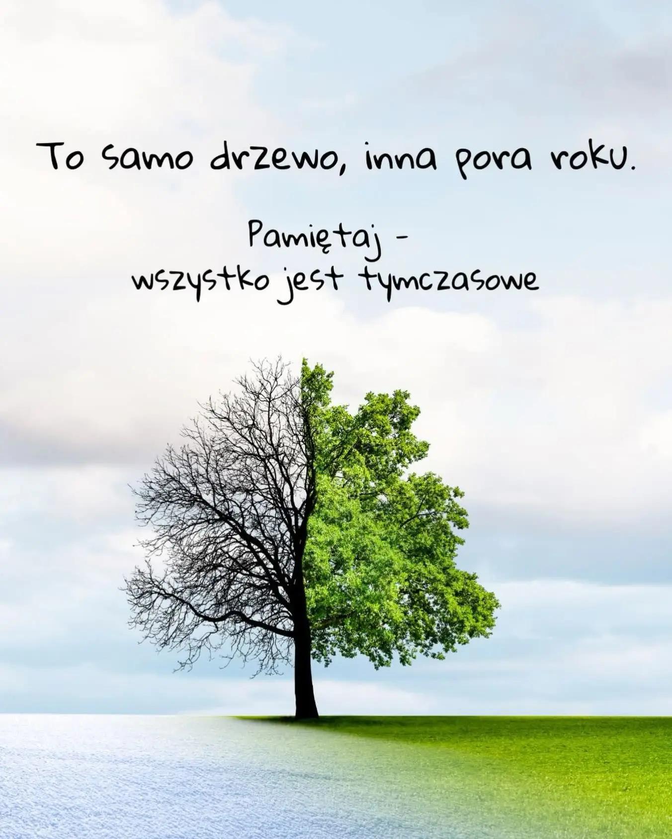 @🌻 Matrixa🌻