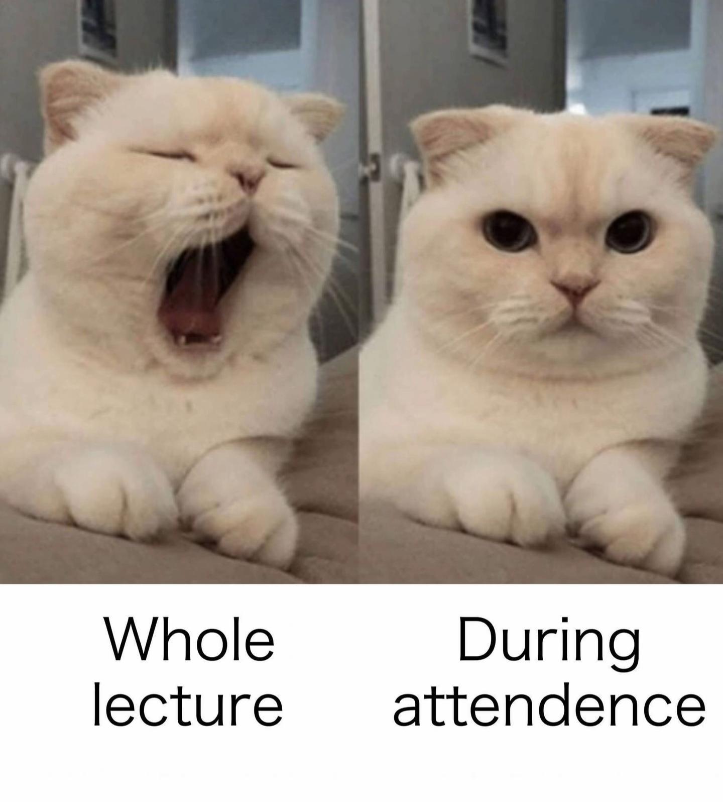 @Ms. Faith