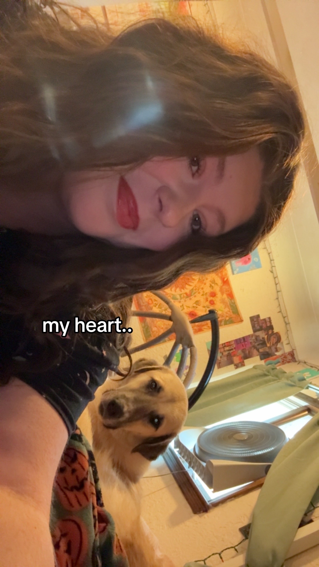 @maya