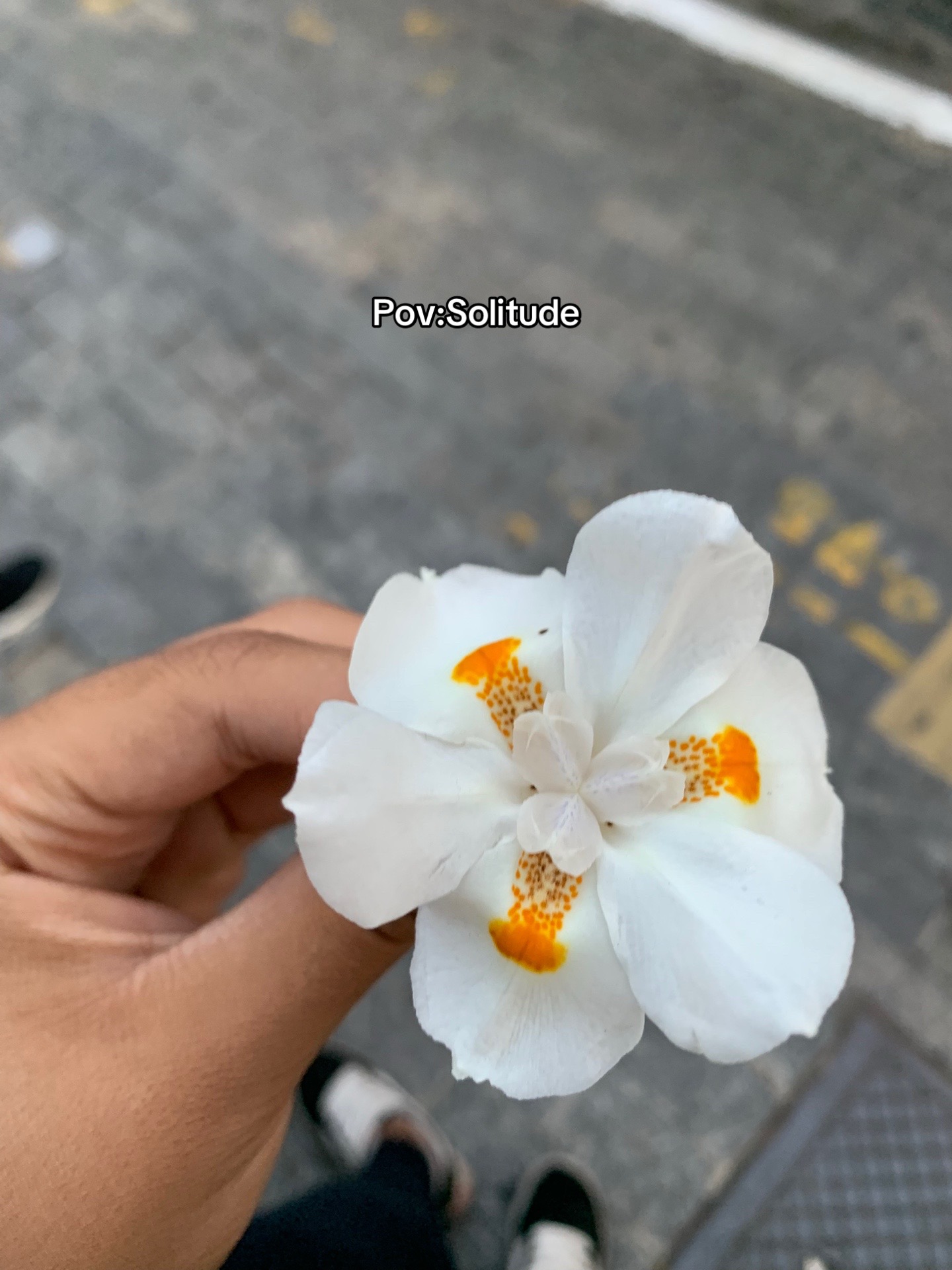 @Xl_mimm