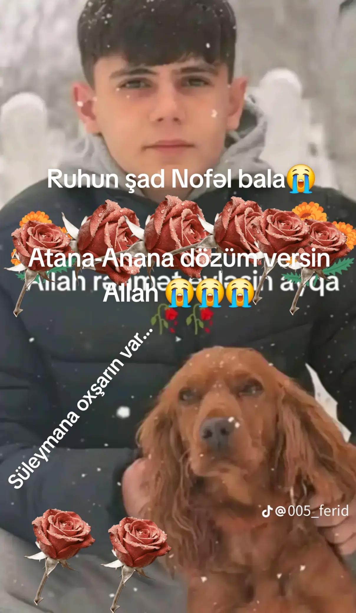 @Cığatel Poeziya