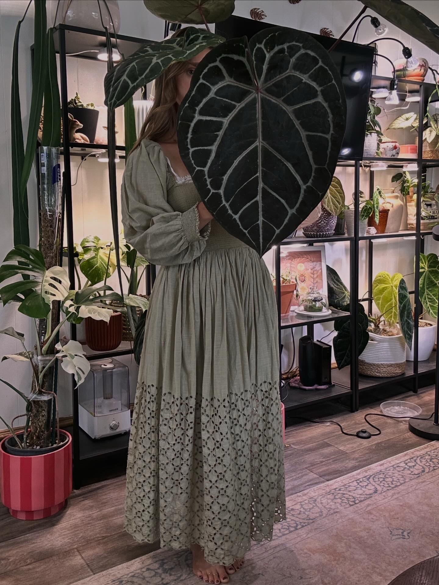 @theplantgirl_diaries