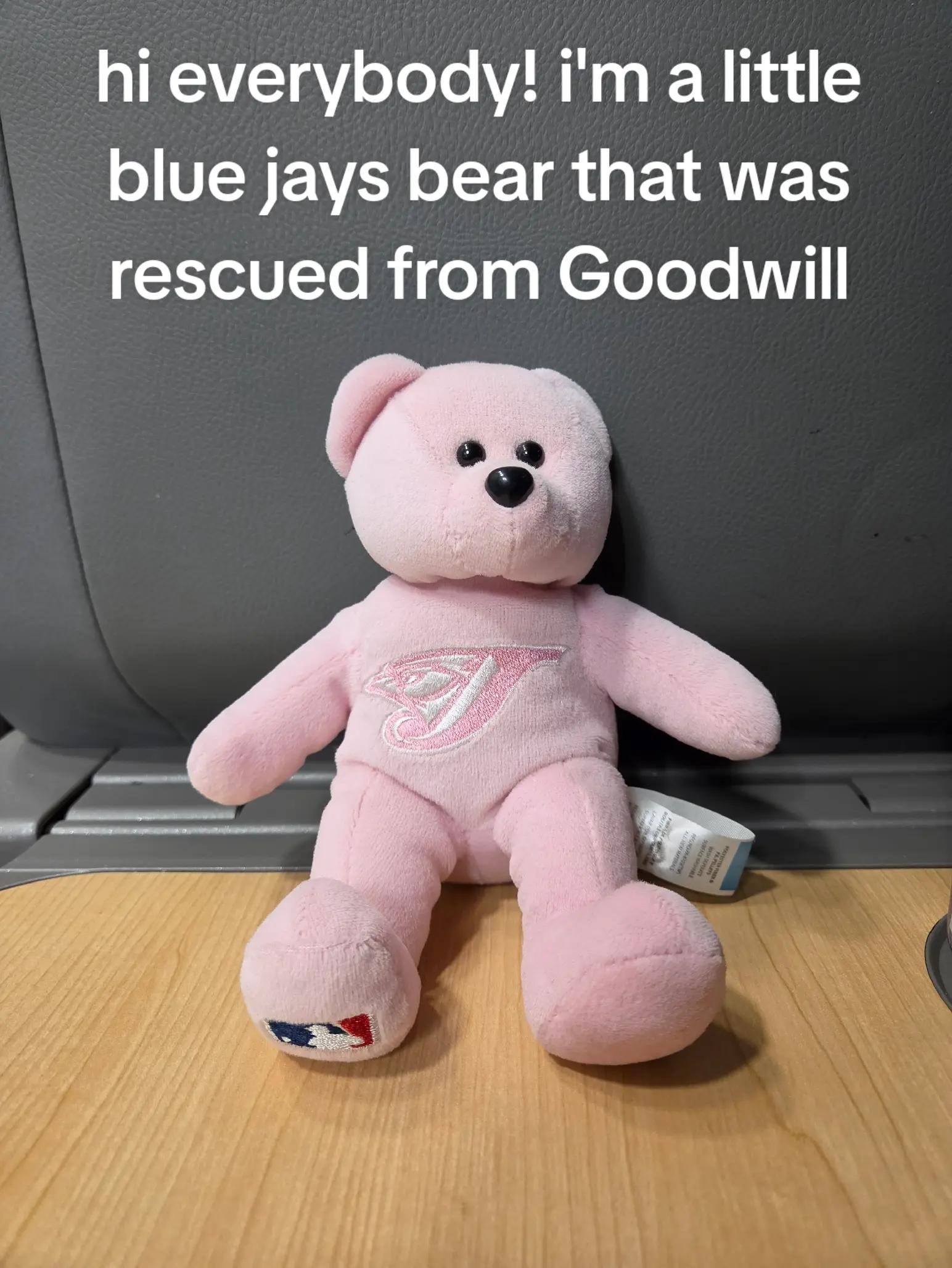 @Jay🇨🇦