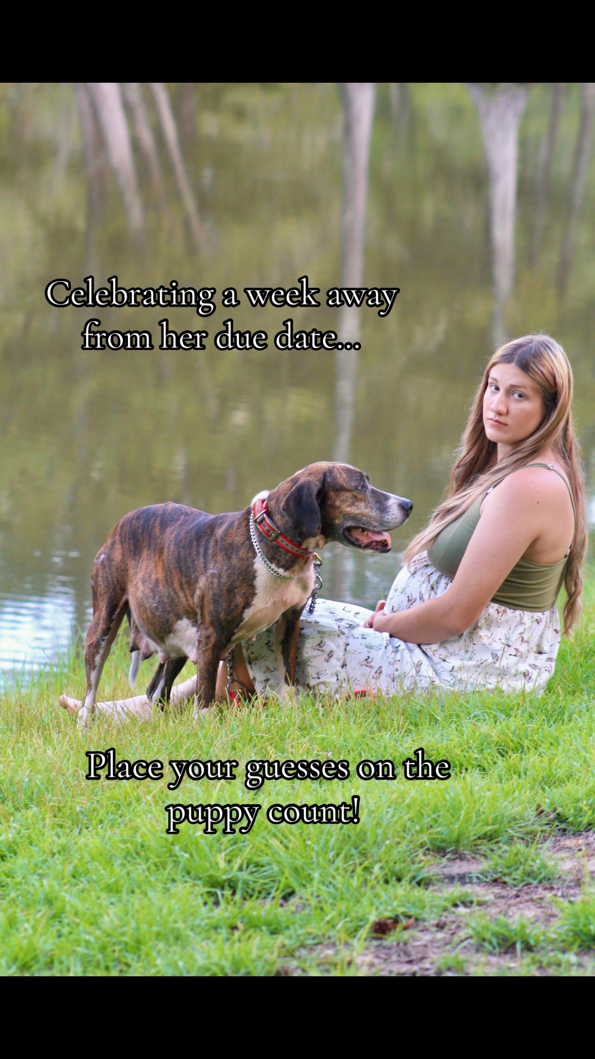 @DoubleDownHogDogs