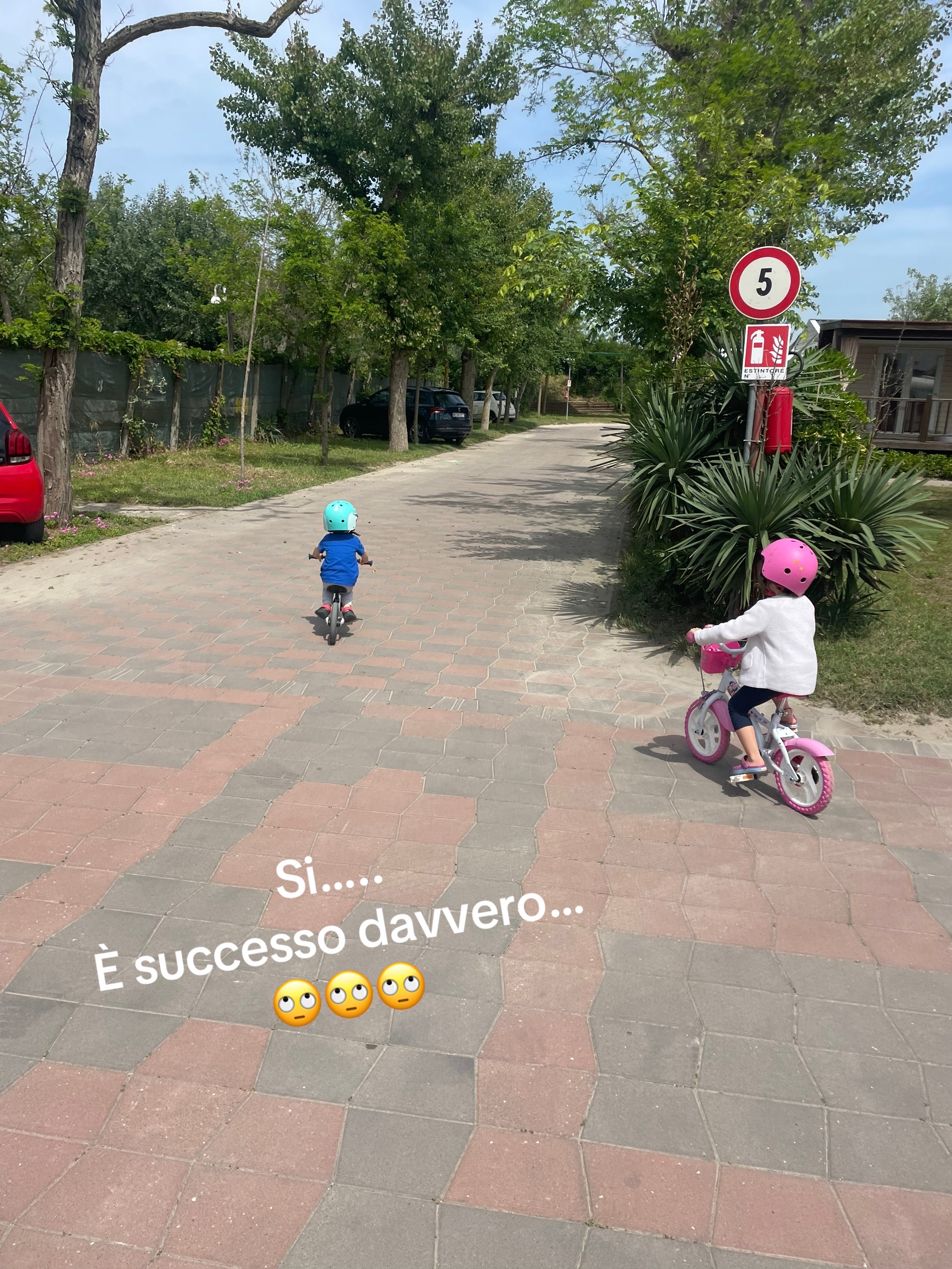 @Elena Fattore