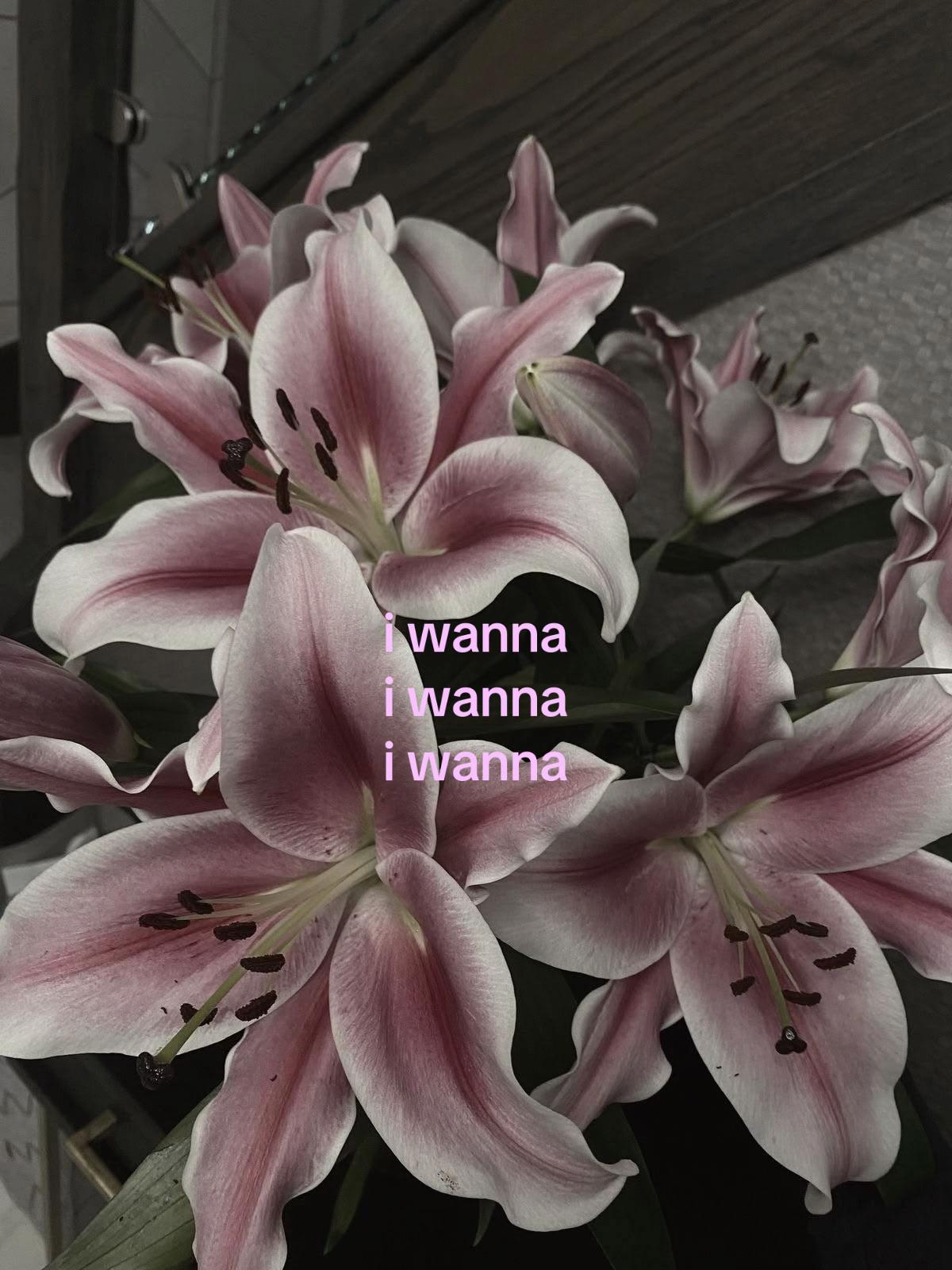 @марьяша |THIS & THAT⁸ Motto⁵|