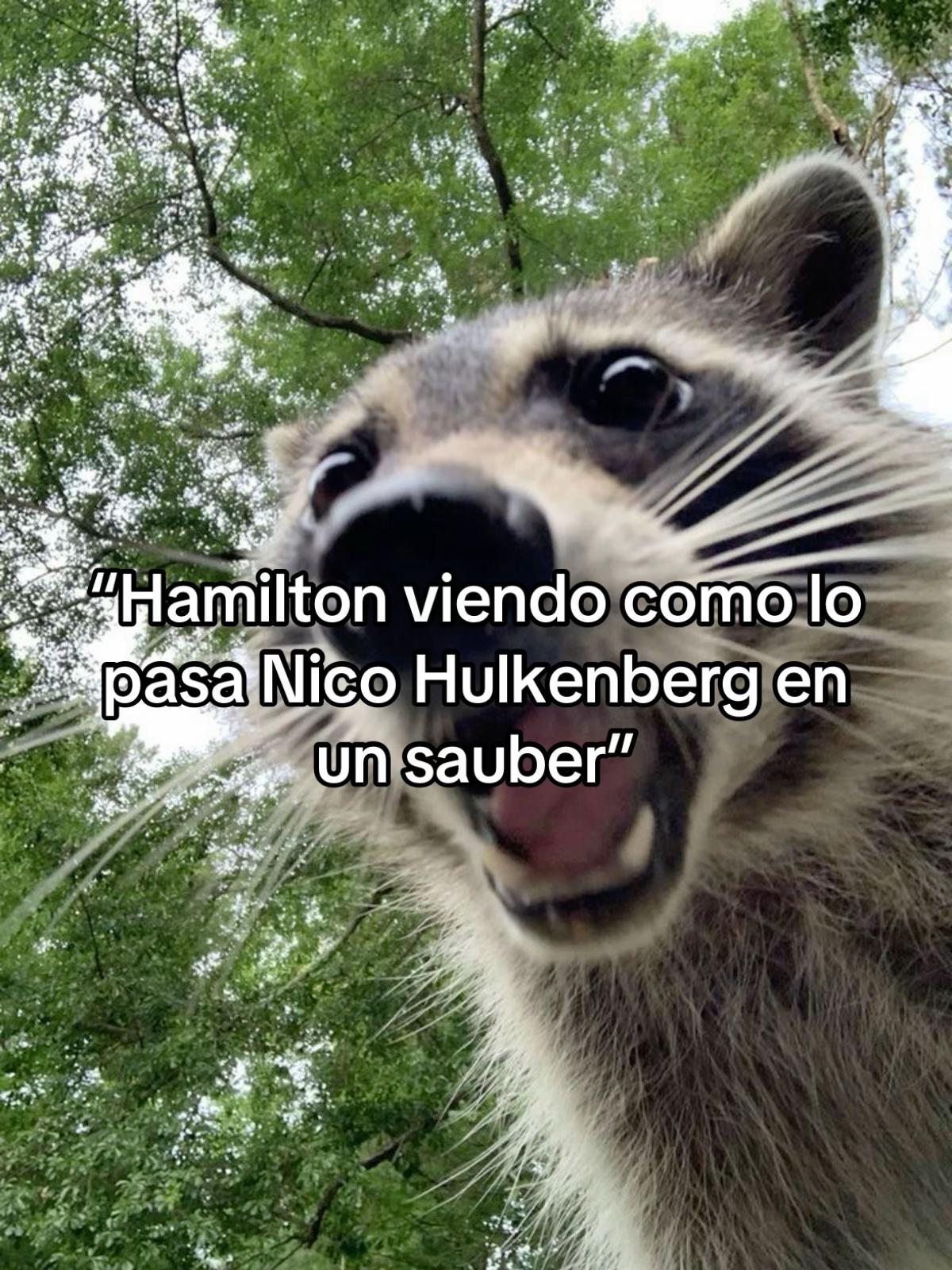 @La chica formulera